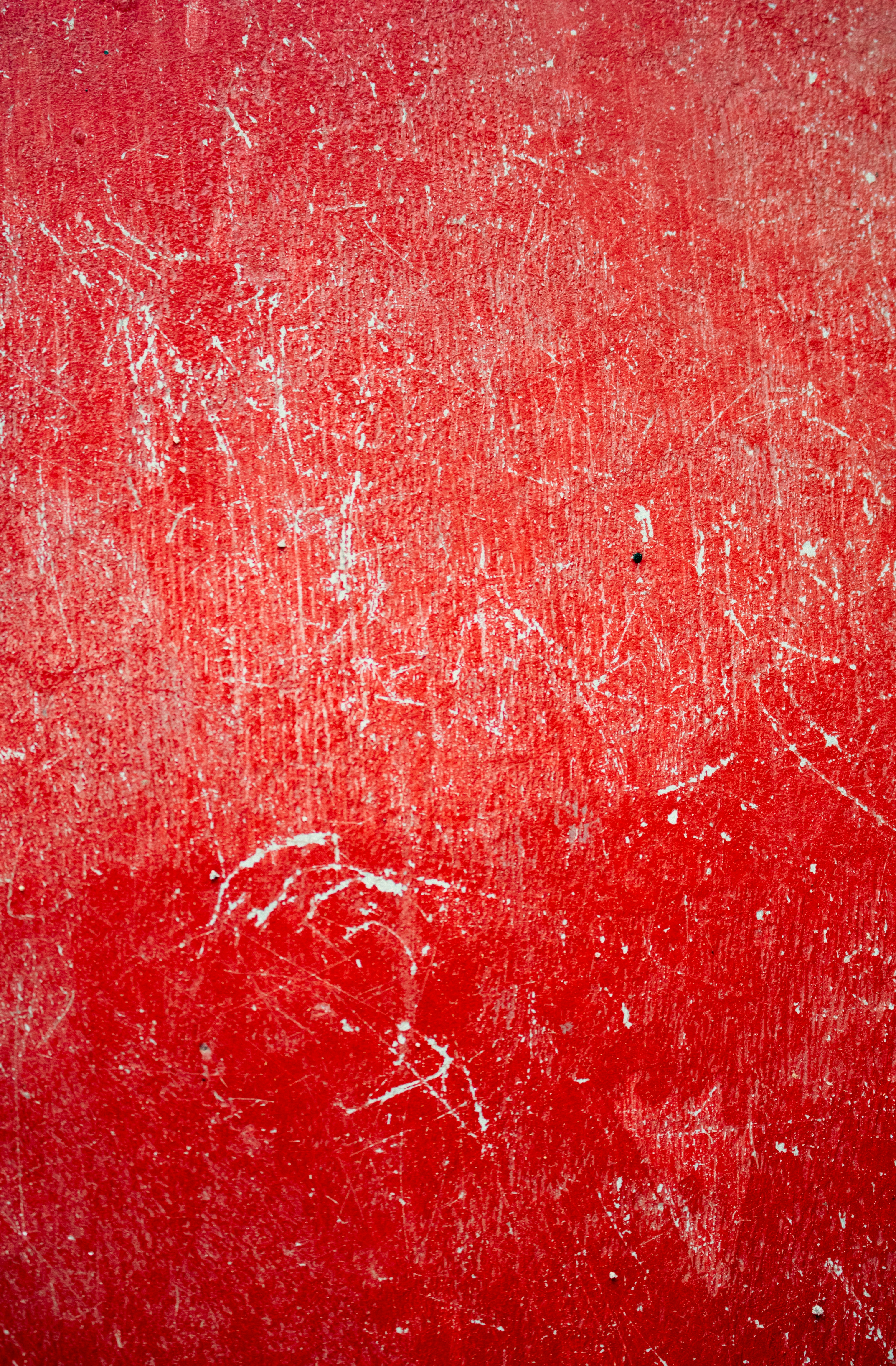 Photo by zoshuacolah