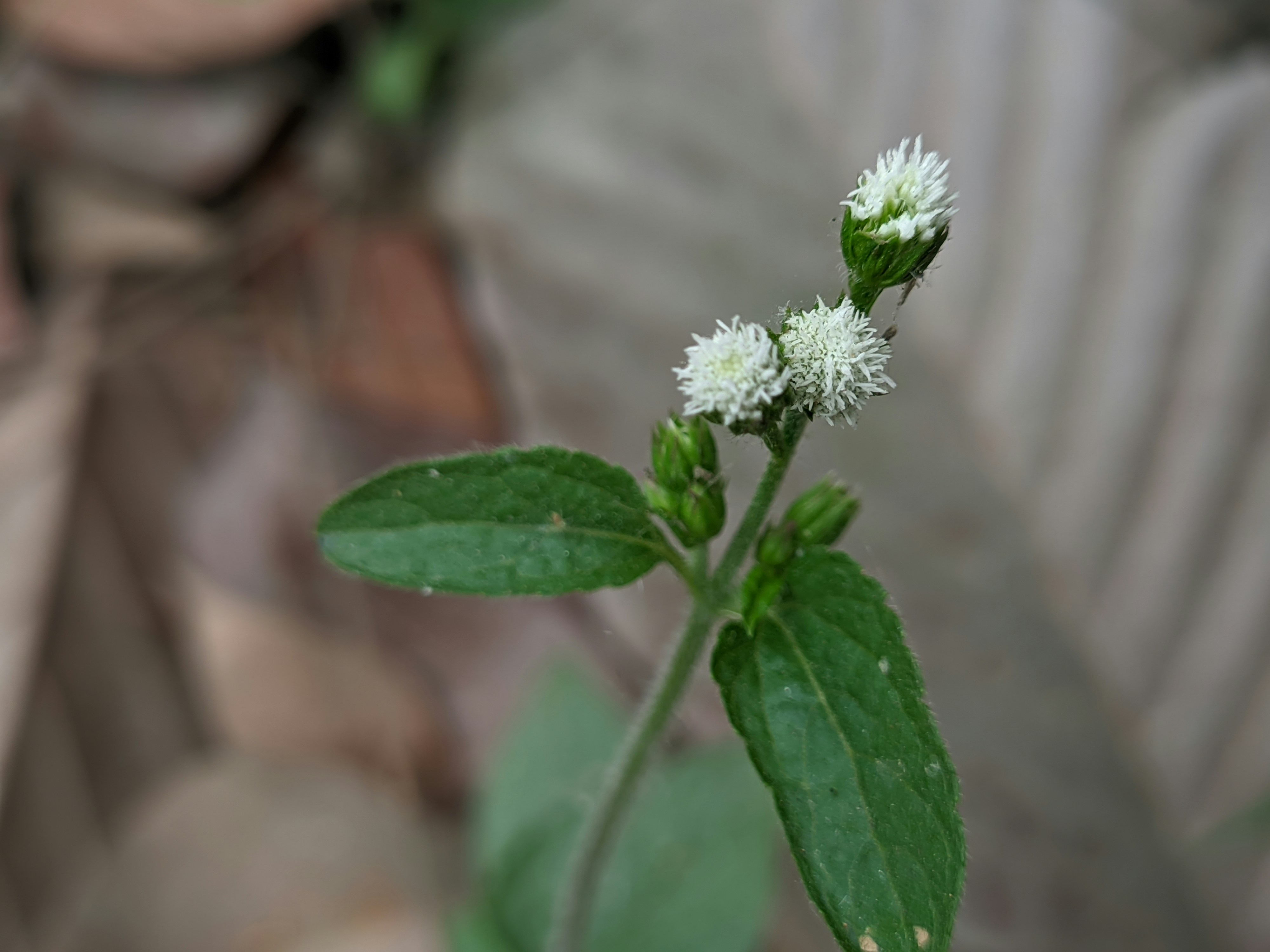 Photo by shotbywoliul