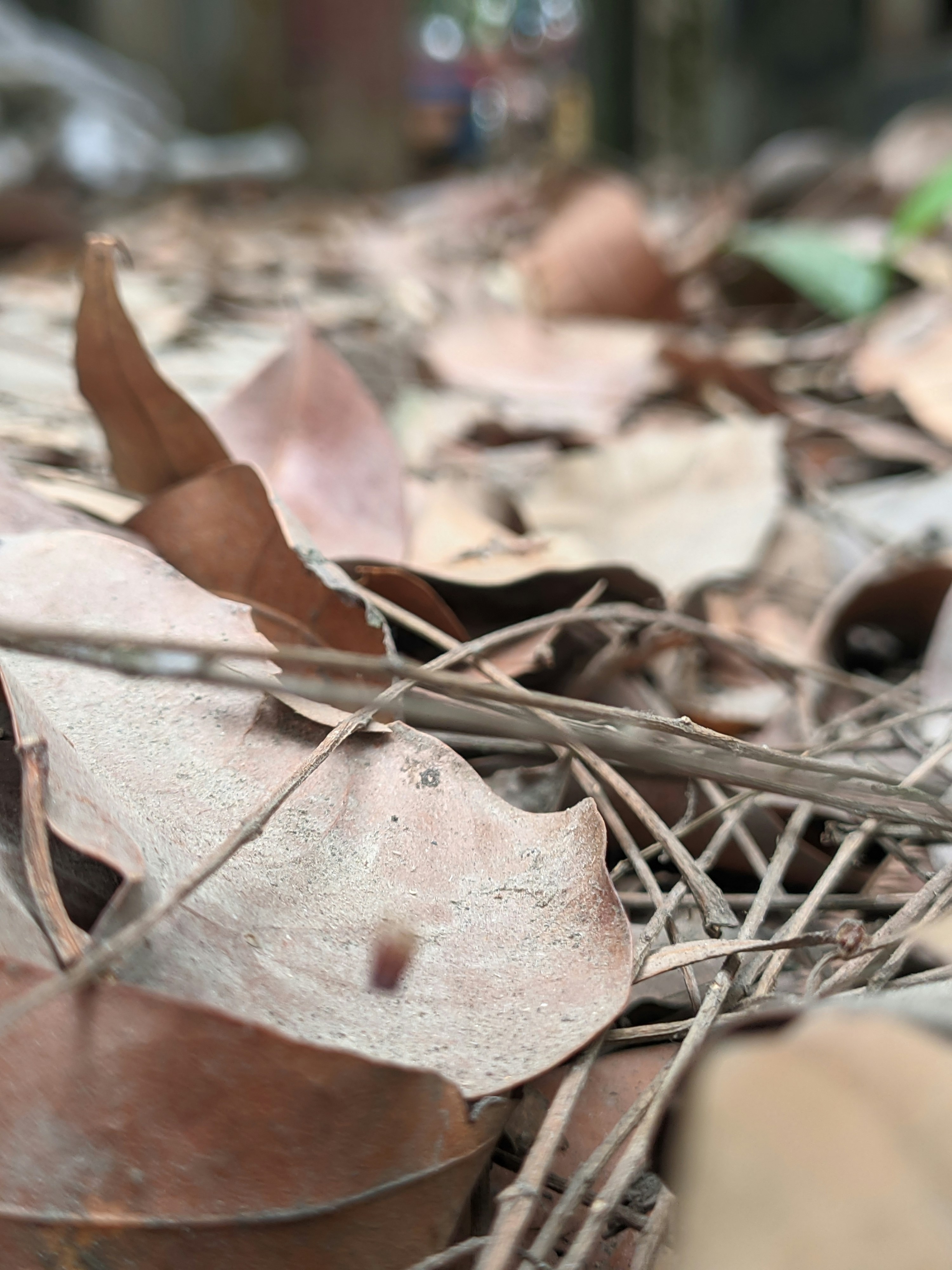 Photo by shotbywoliul