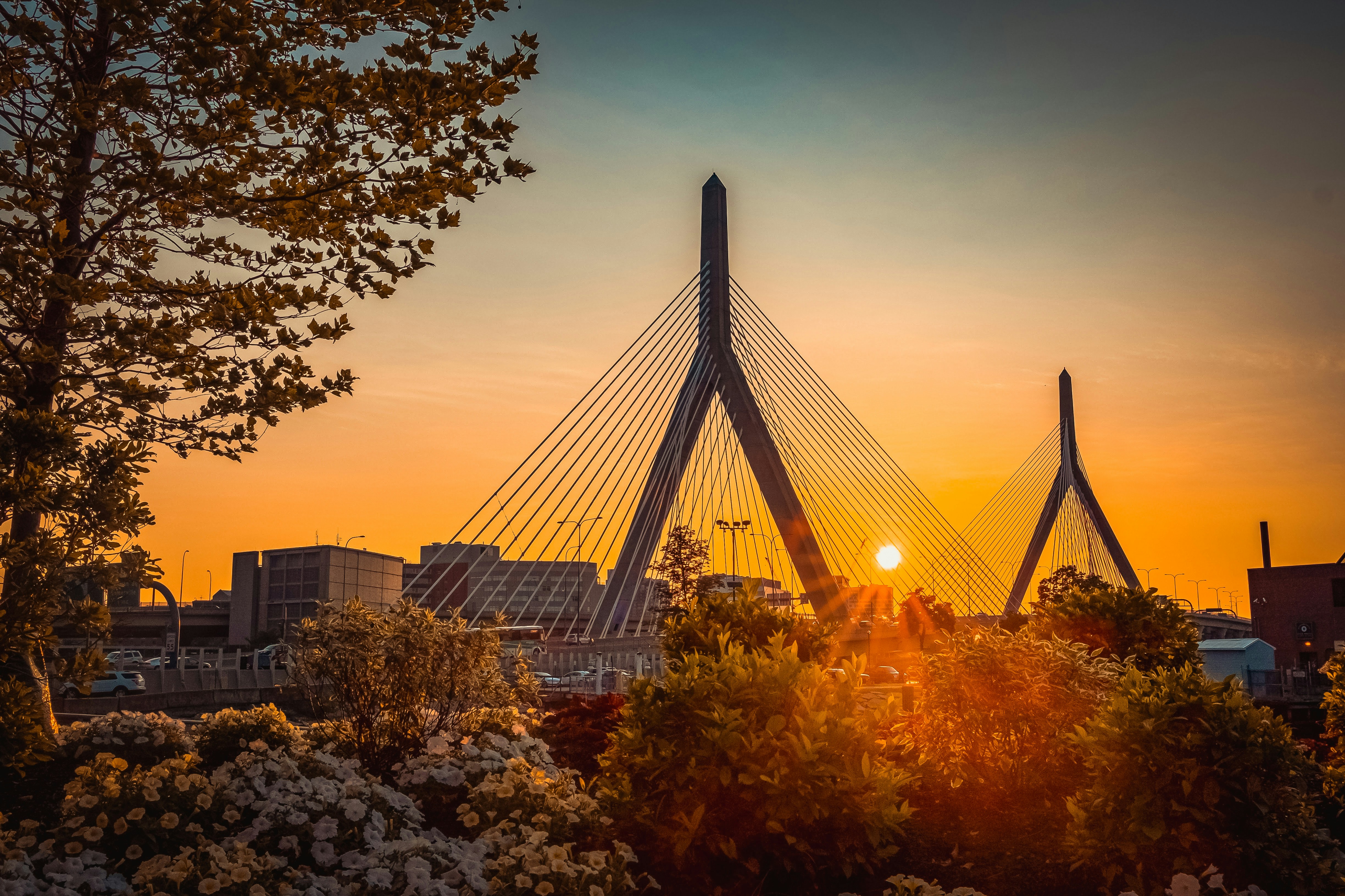 La puesta de sol ilumina el puente zakim en Boston.