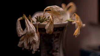 Wilted flowers droop inside a vase