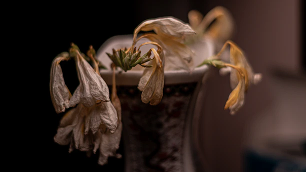 Wilted flowers droop inside a vase