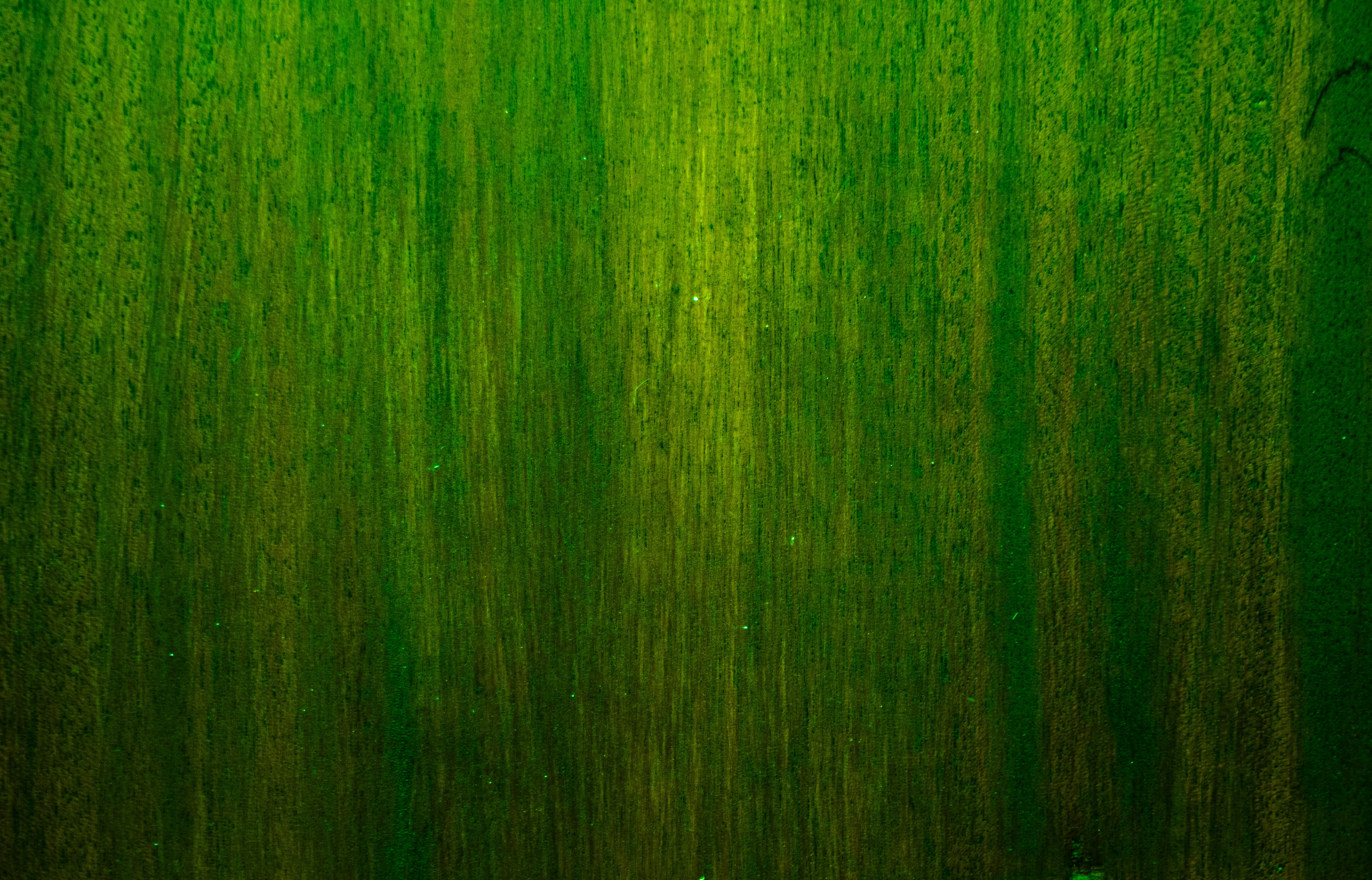 Photo by zoshuacolah