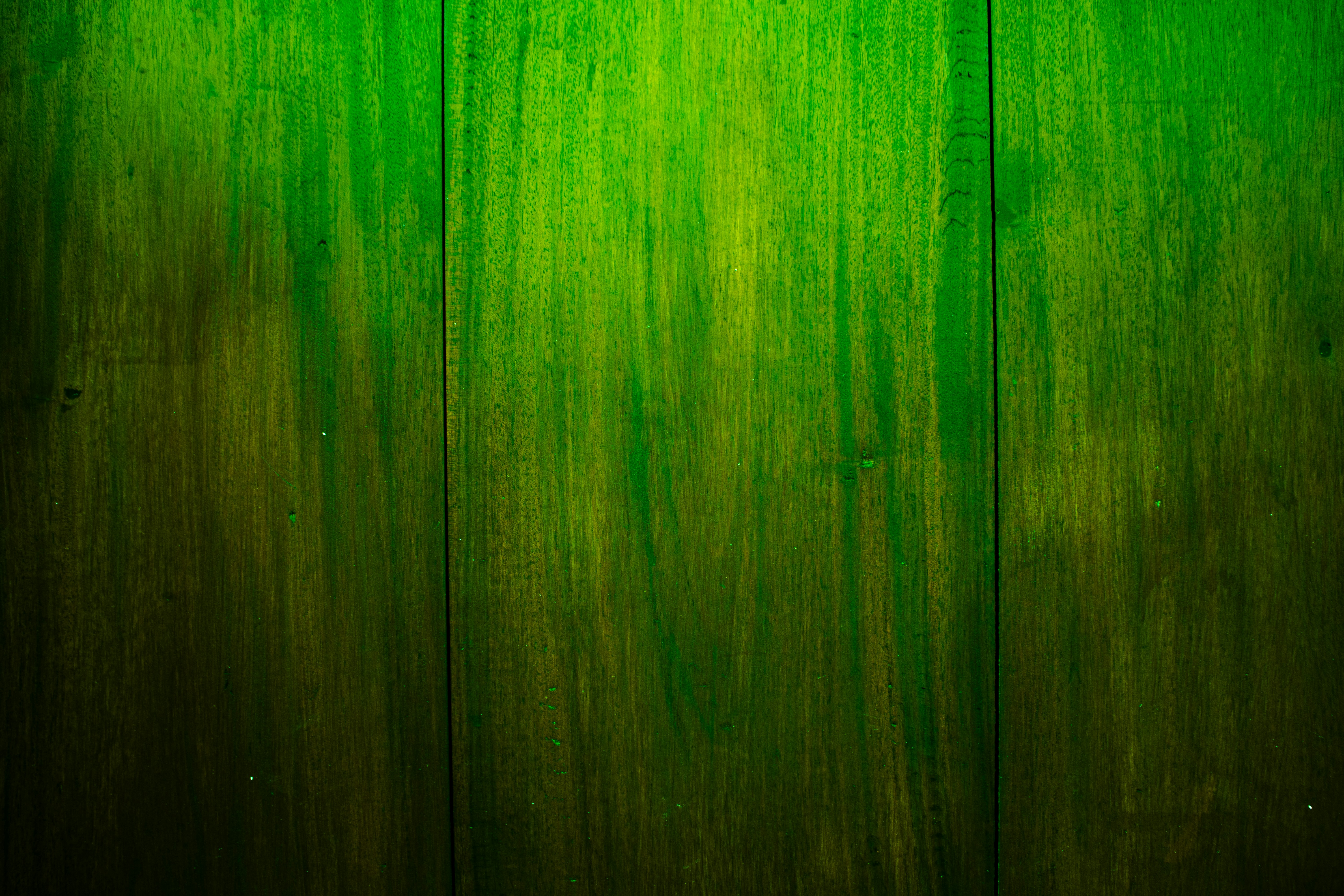 Photo by zoshuacolah