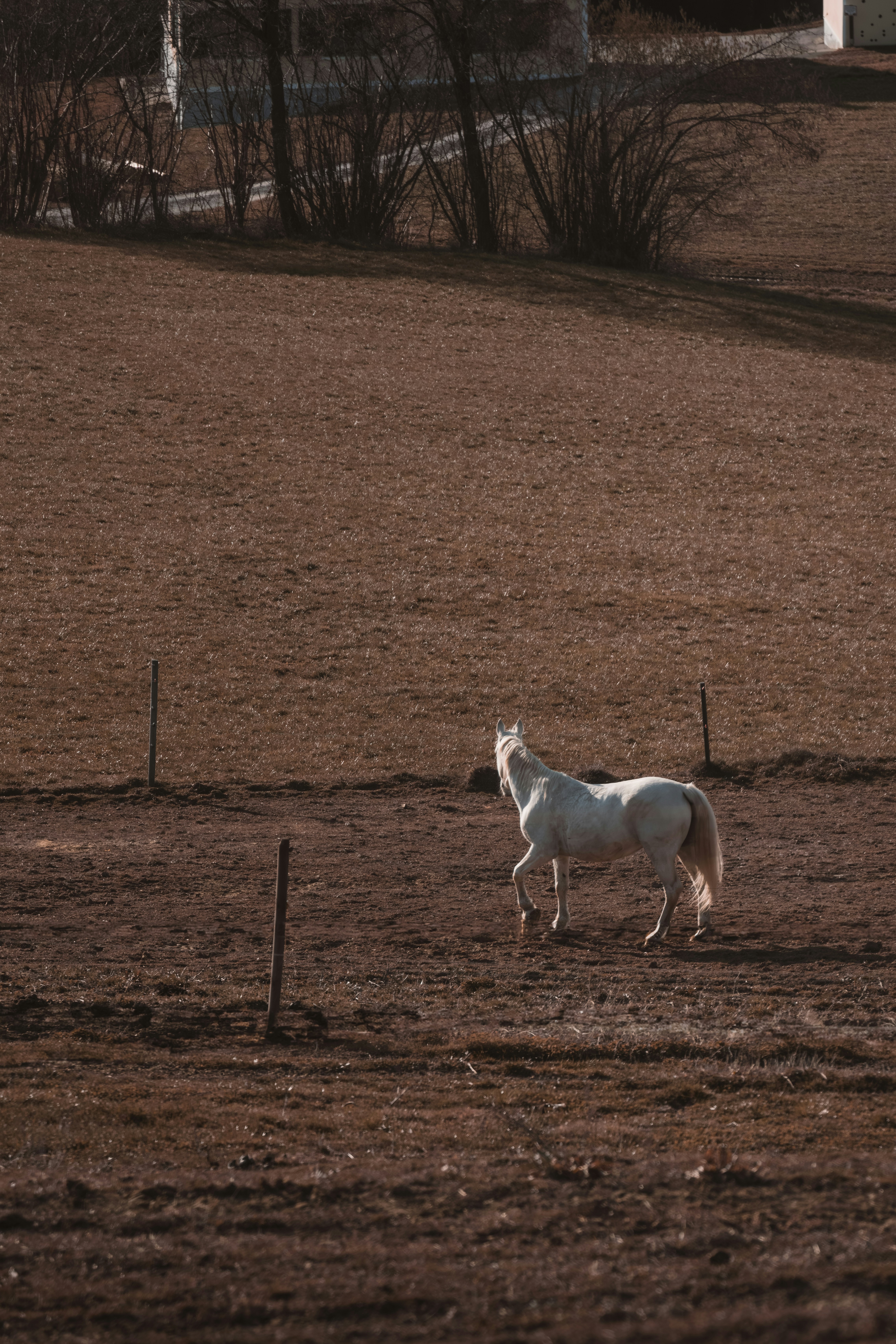 Photo by ahmetyuksek