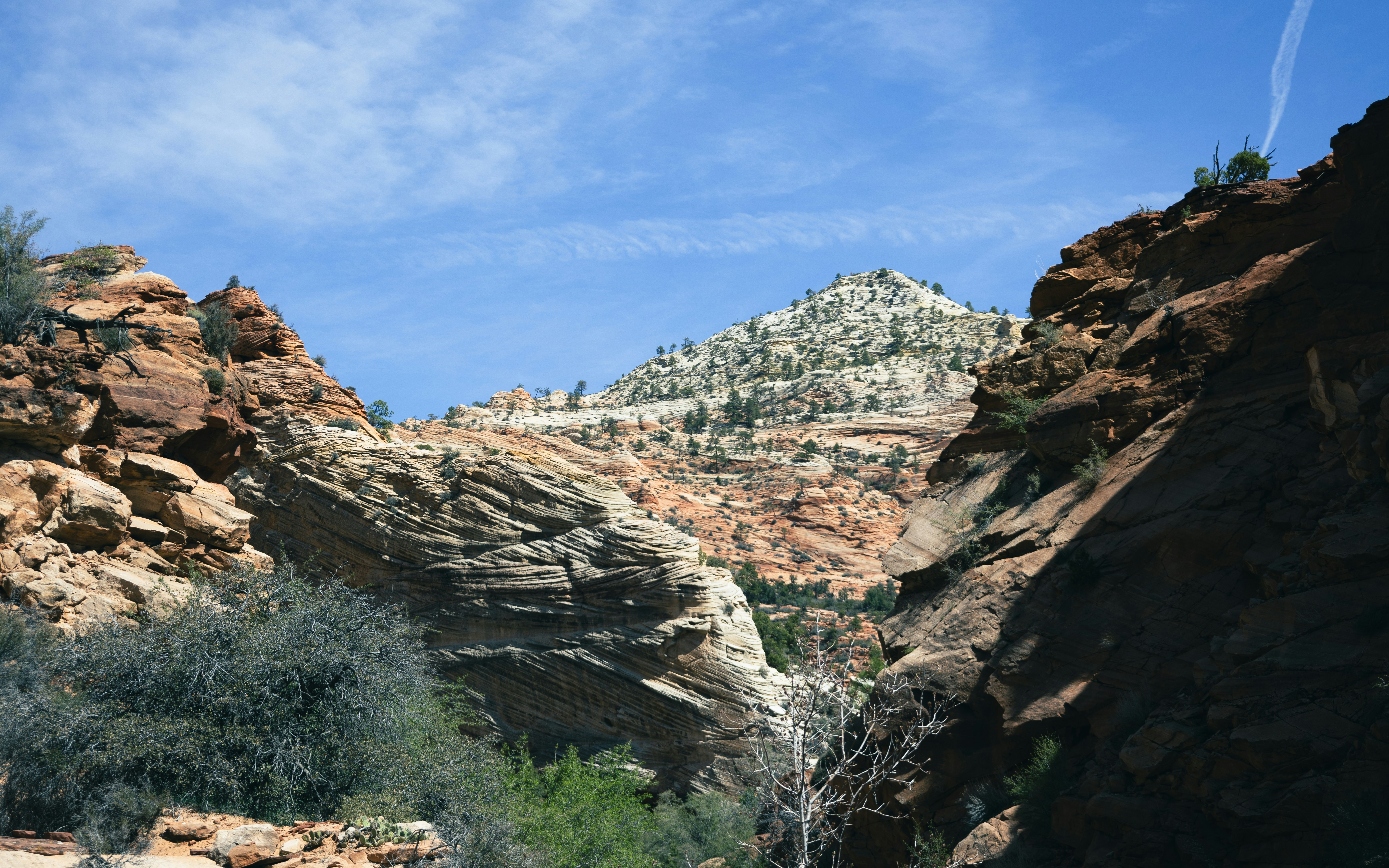 Photo by vincentyuan87