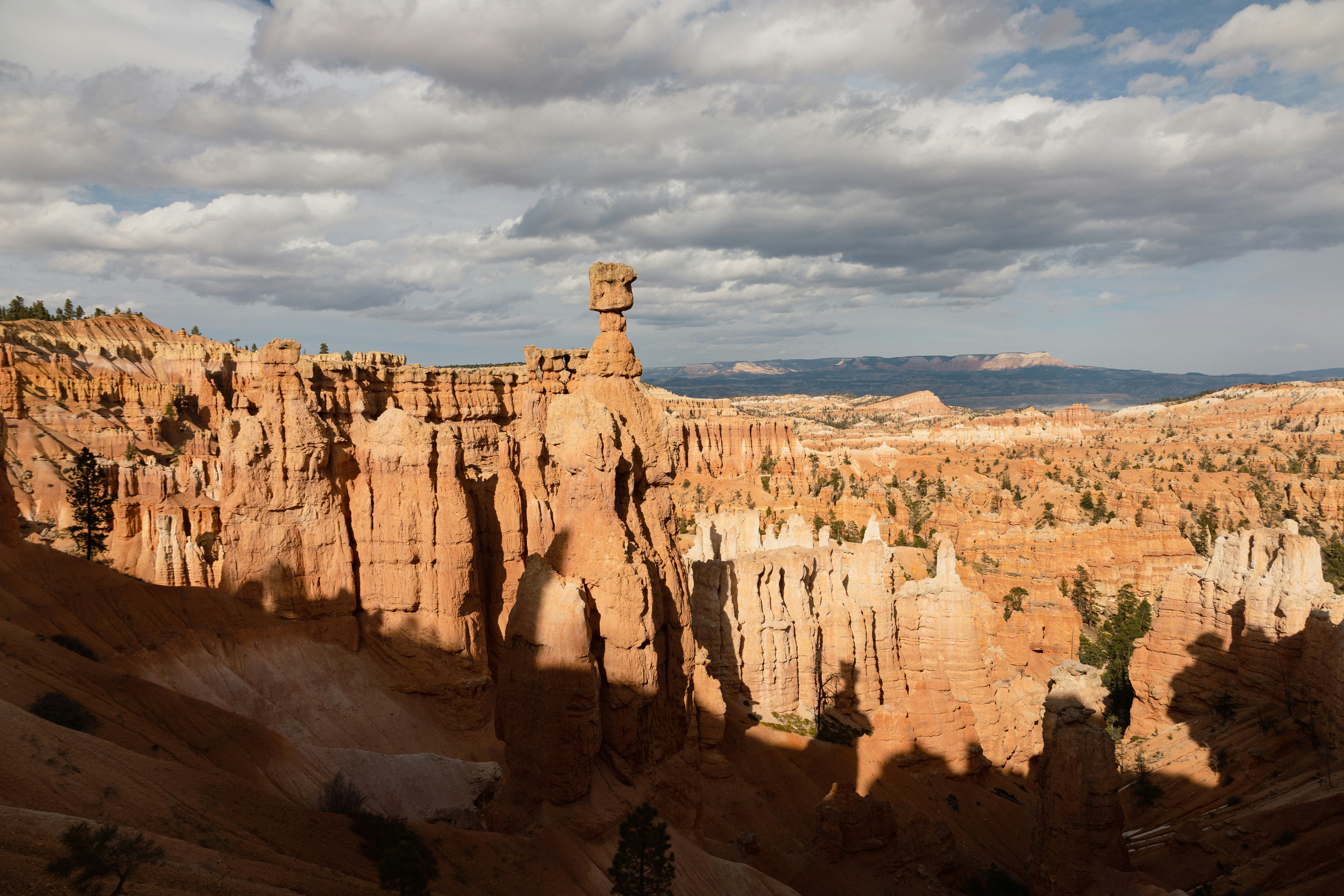 Photo by vincentyuan87