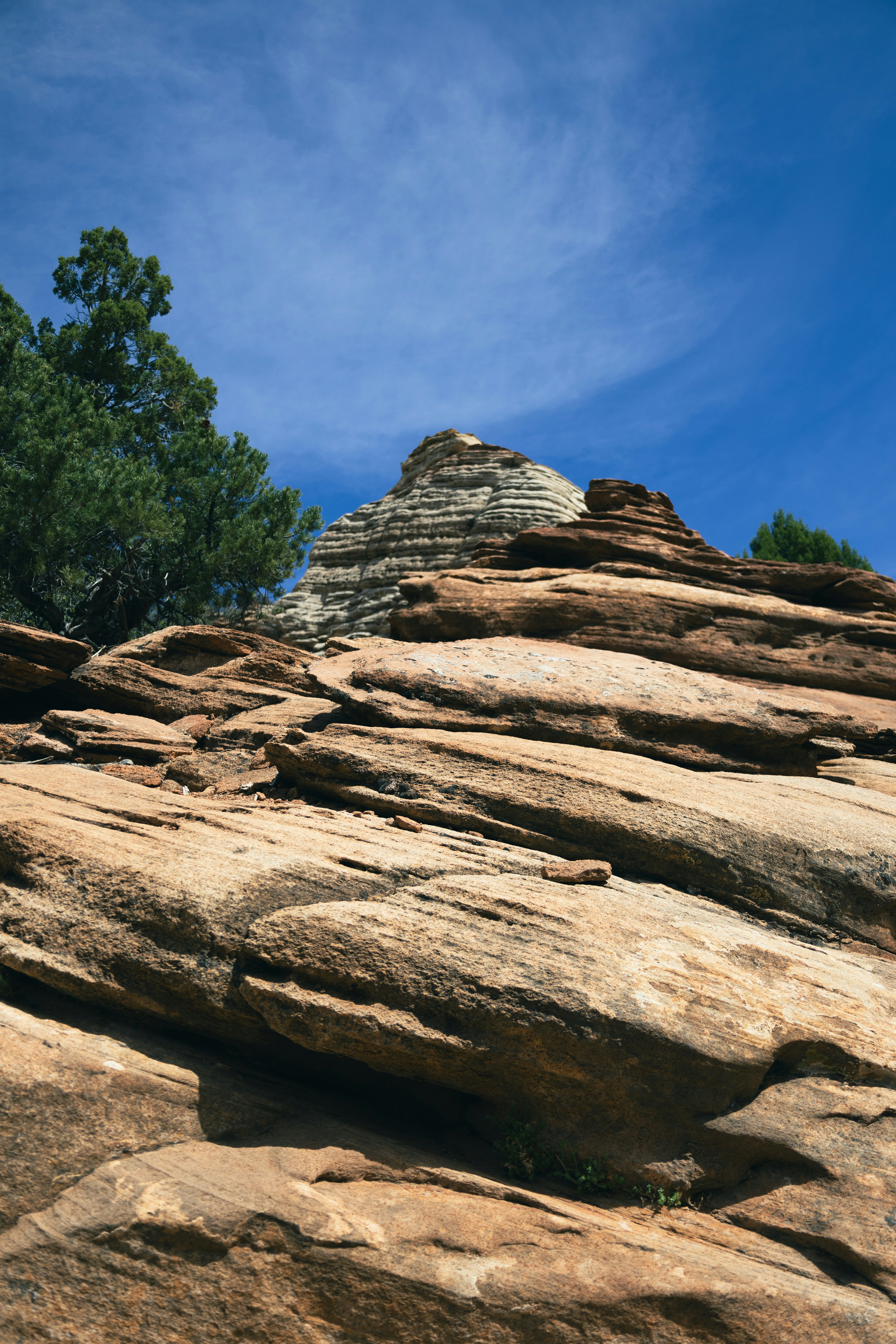 Photo by vincentyuan87