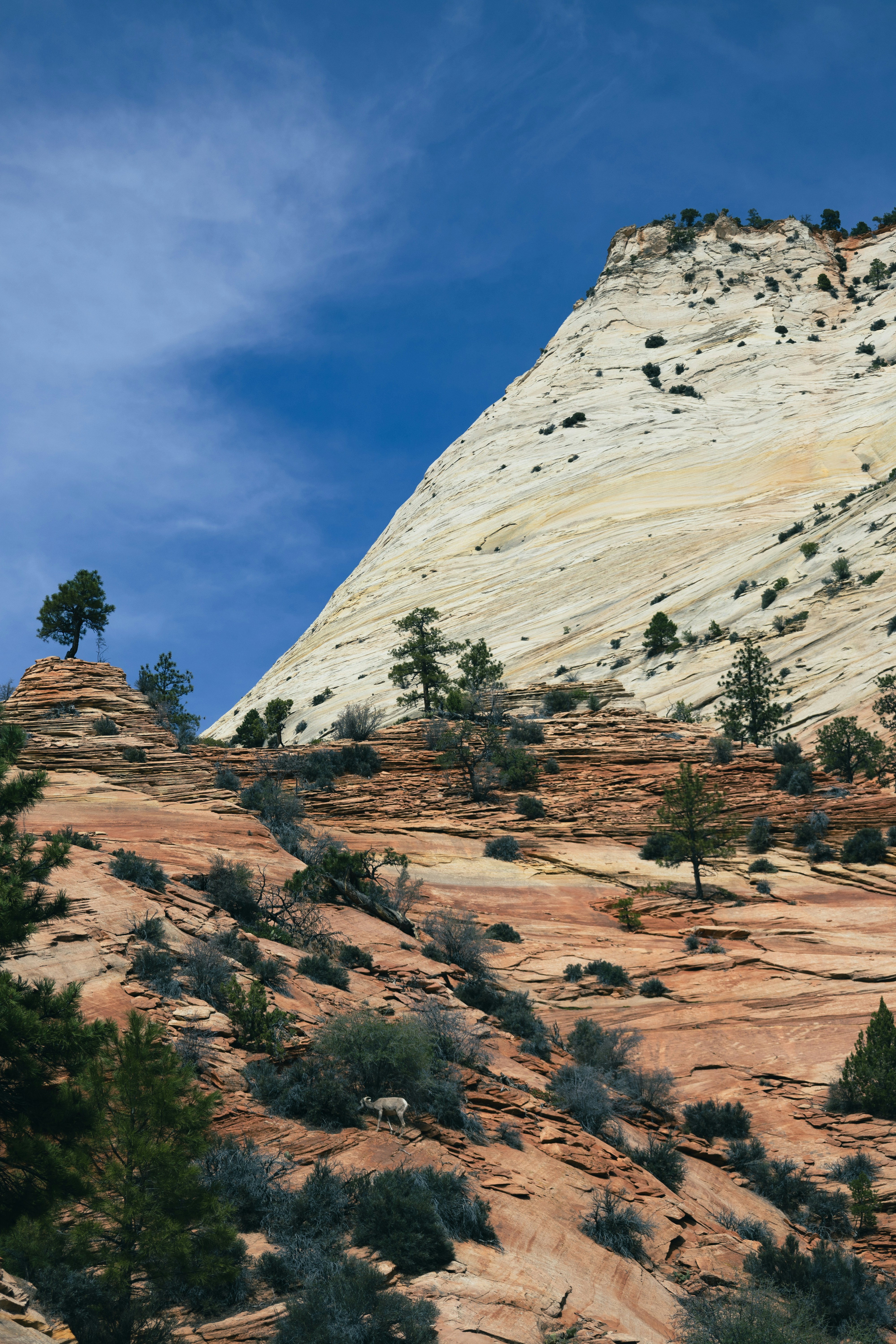 Photo by vincentyuan87