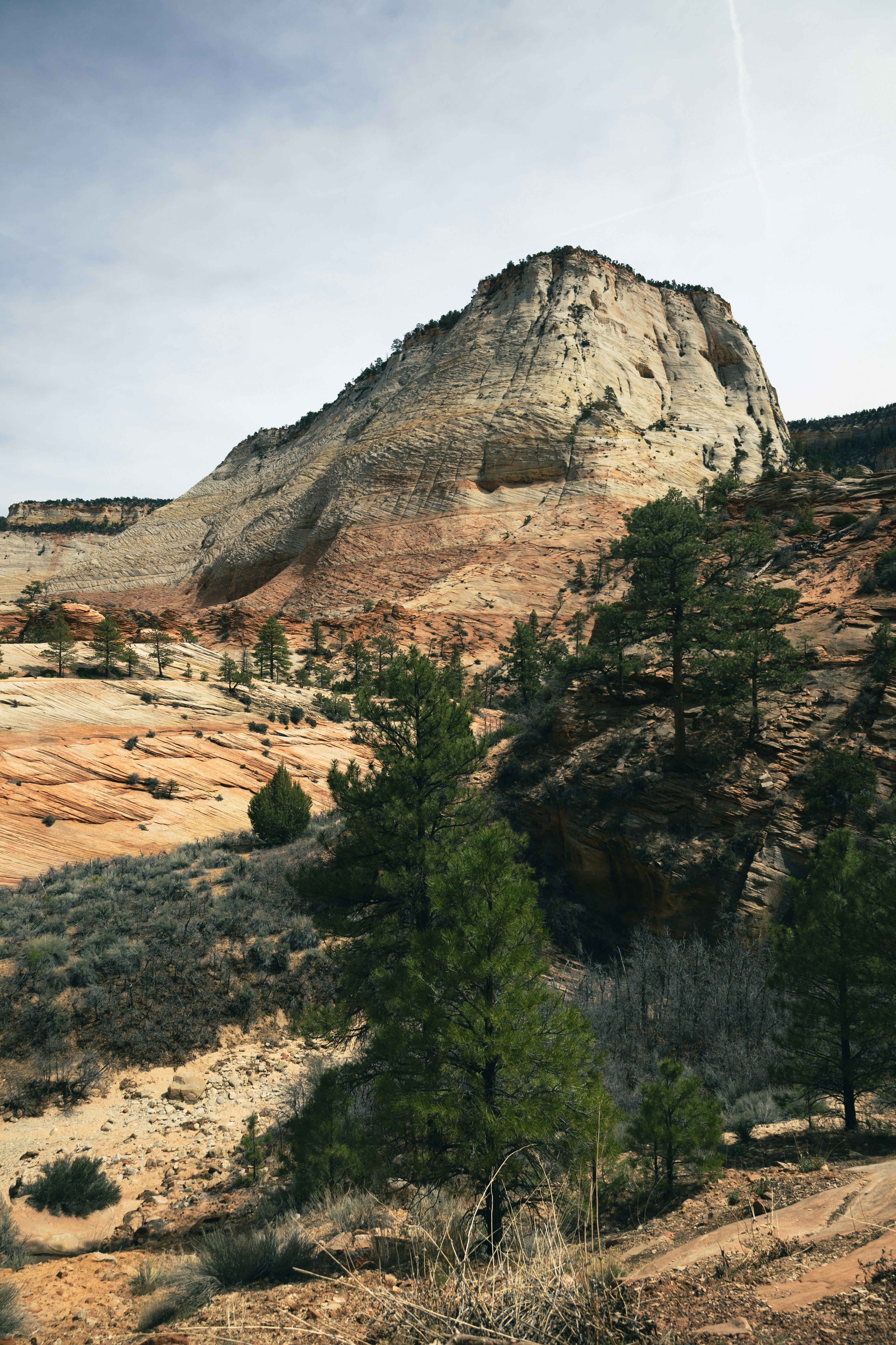 Photo by vincentyuan87