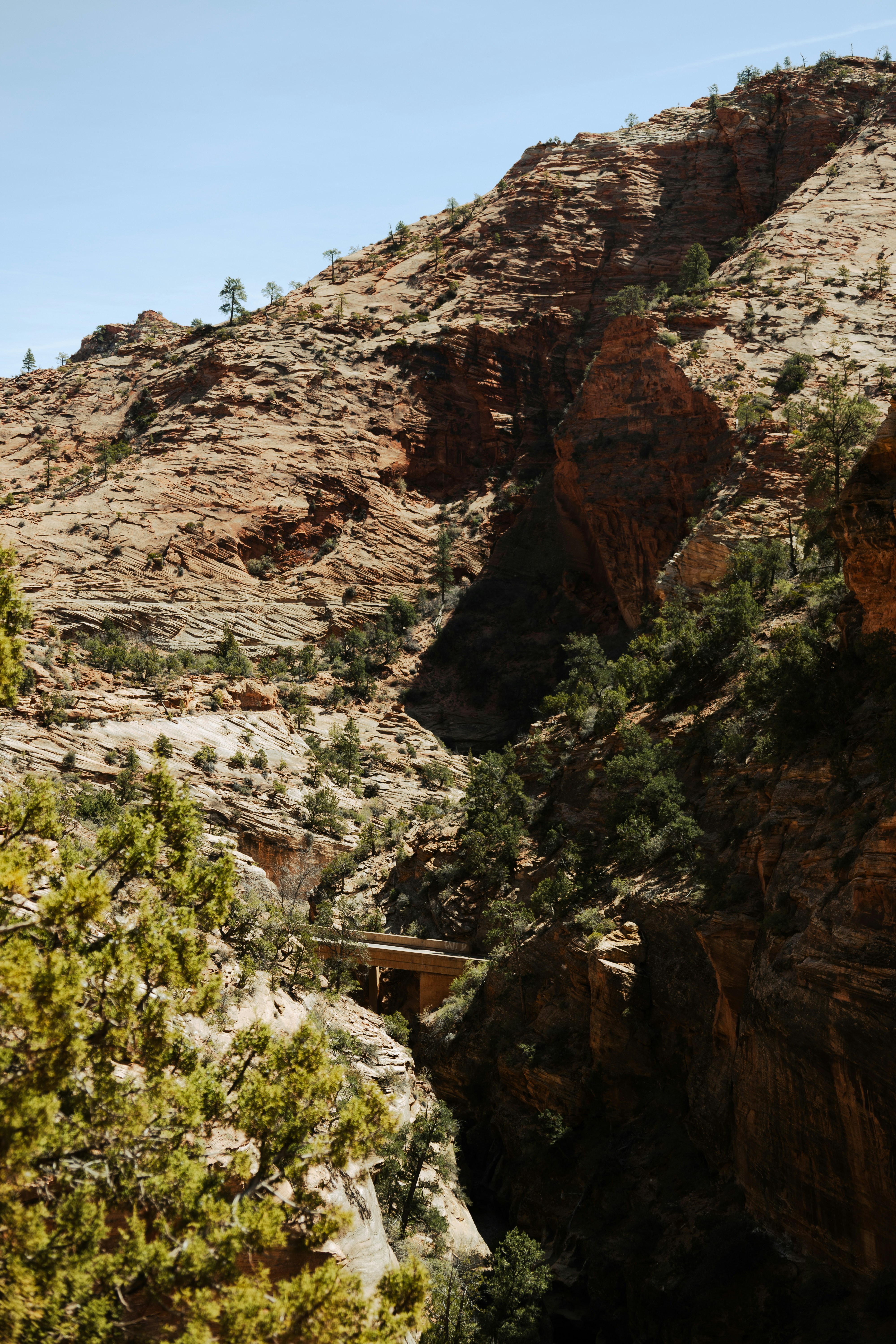 Photo by vincentyuan87