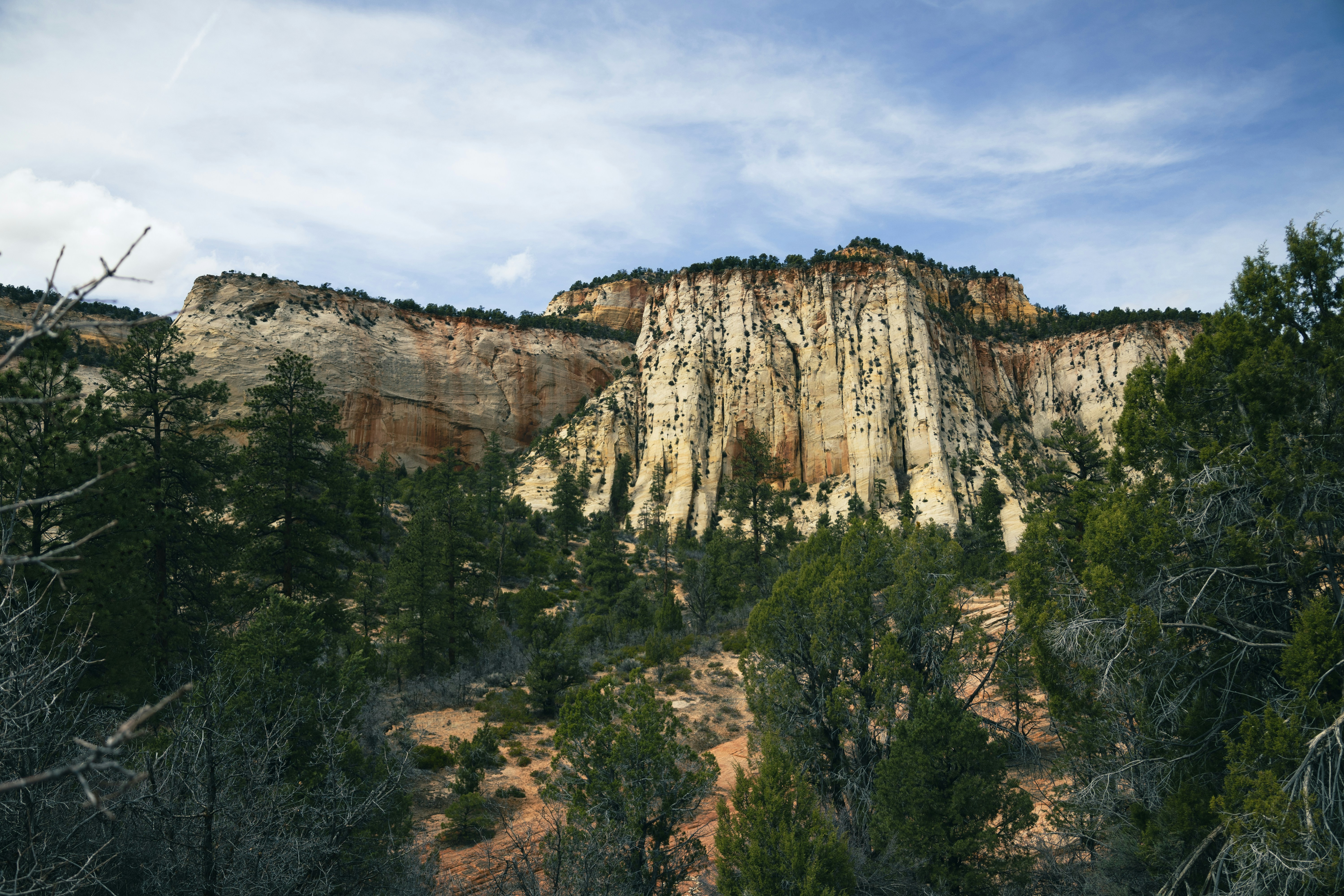 Photo by vincentyuan87