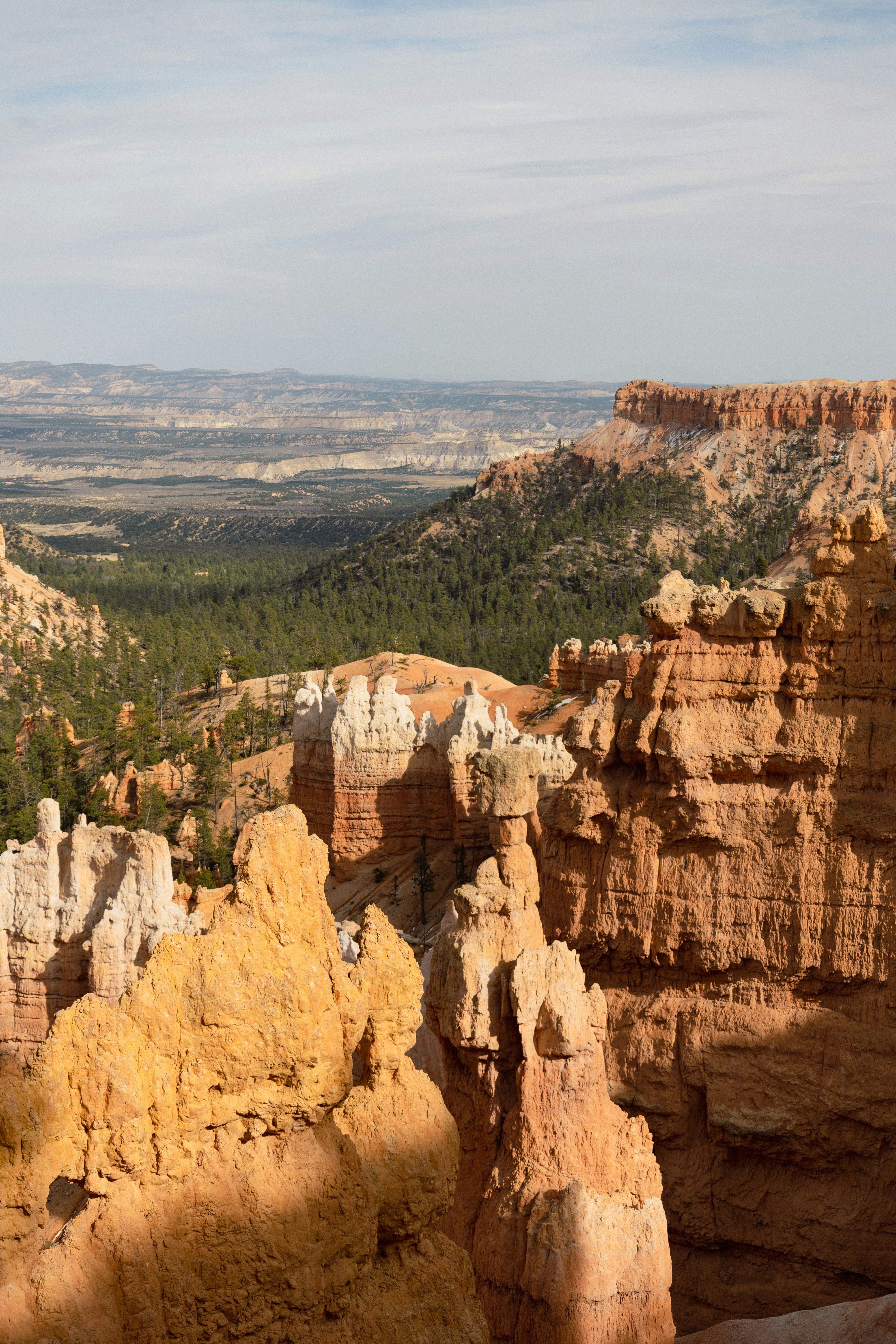 Photo by vincentyuan87