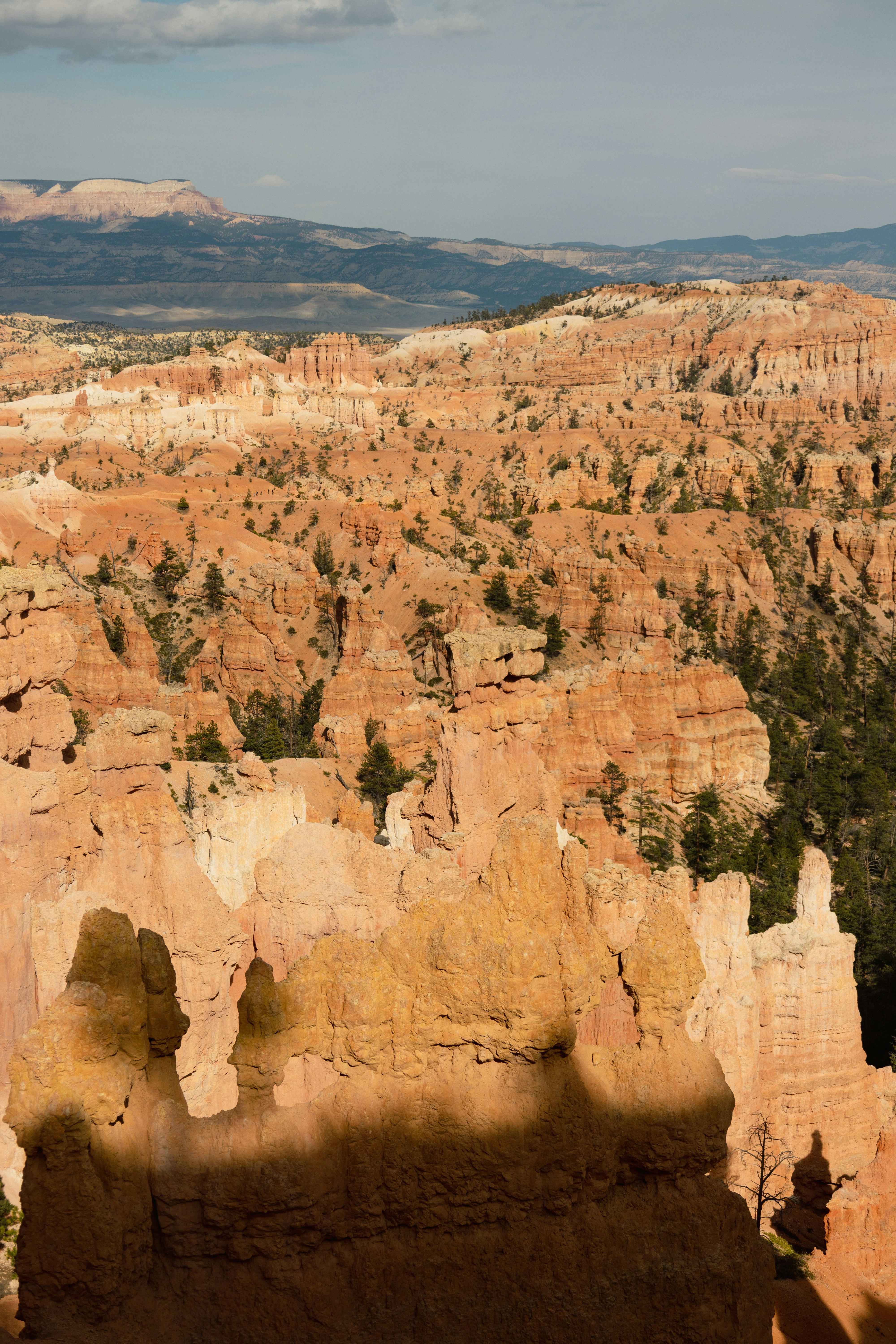 Photo by vincentyuan87