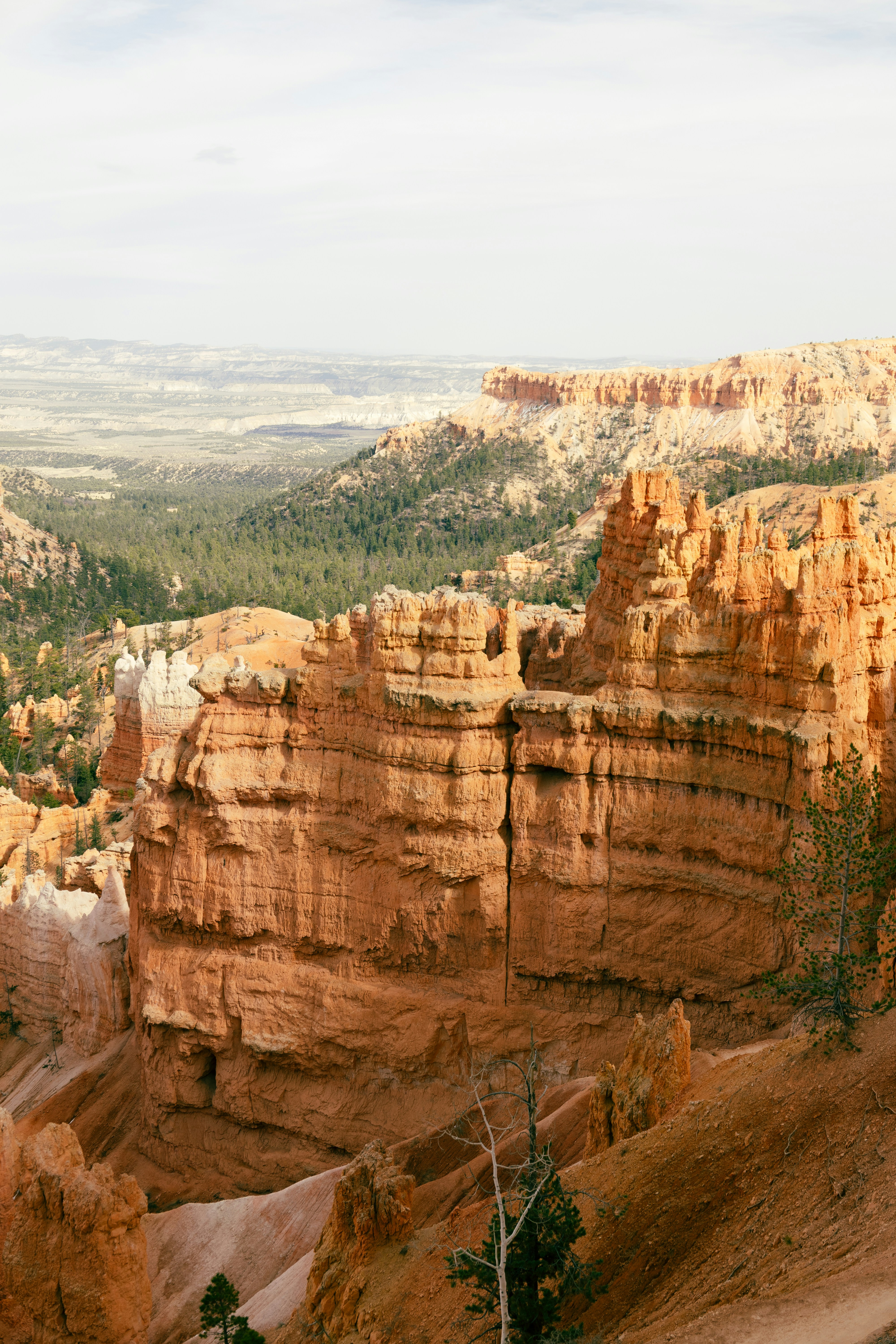 Photo by vincentyuan87