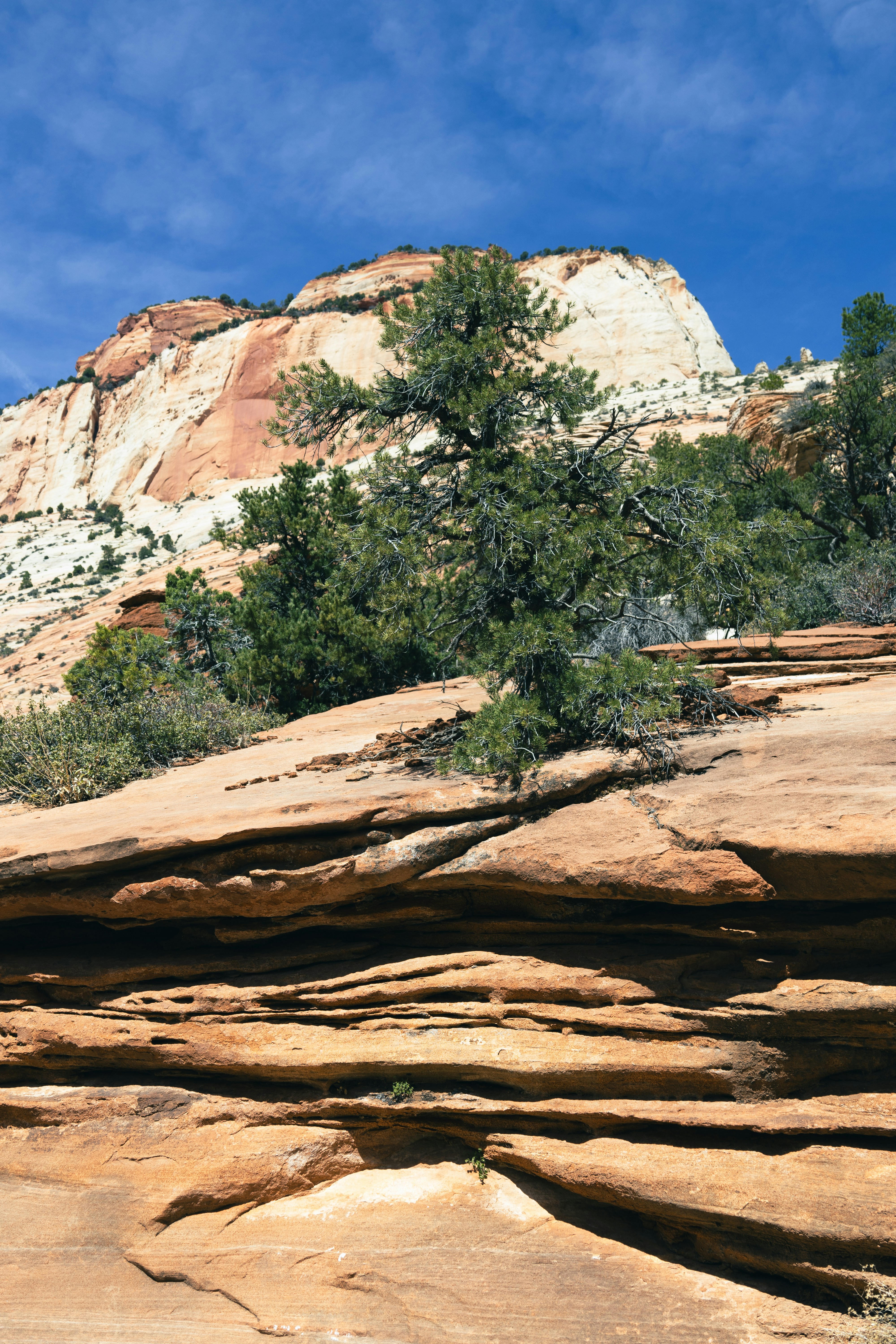 Photo by vincentyuan87