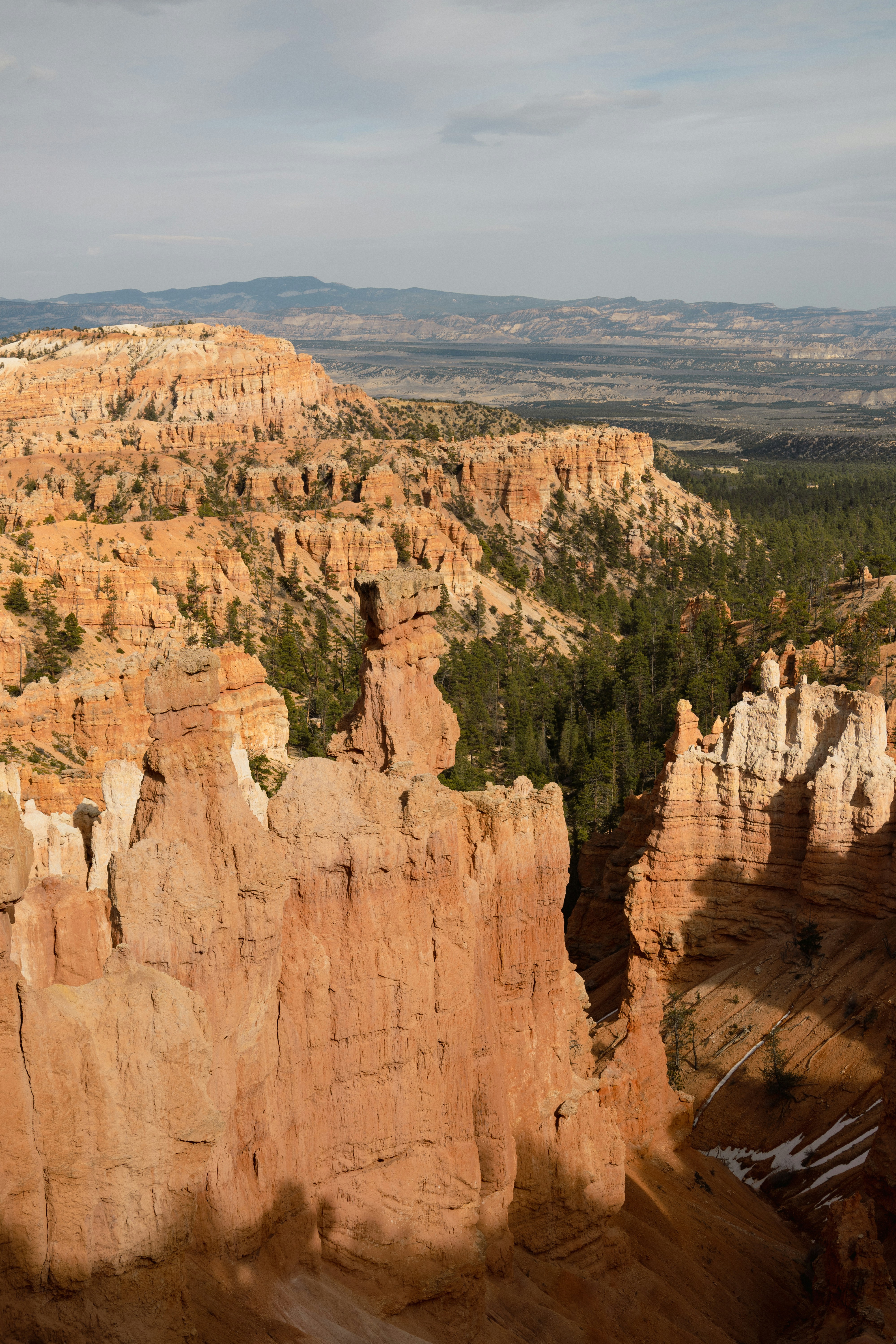 Photo by vincentyuan87