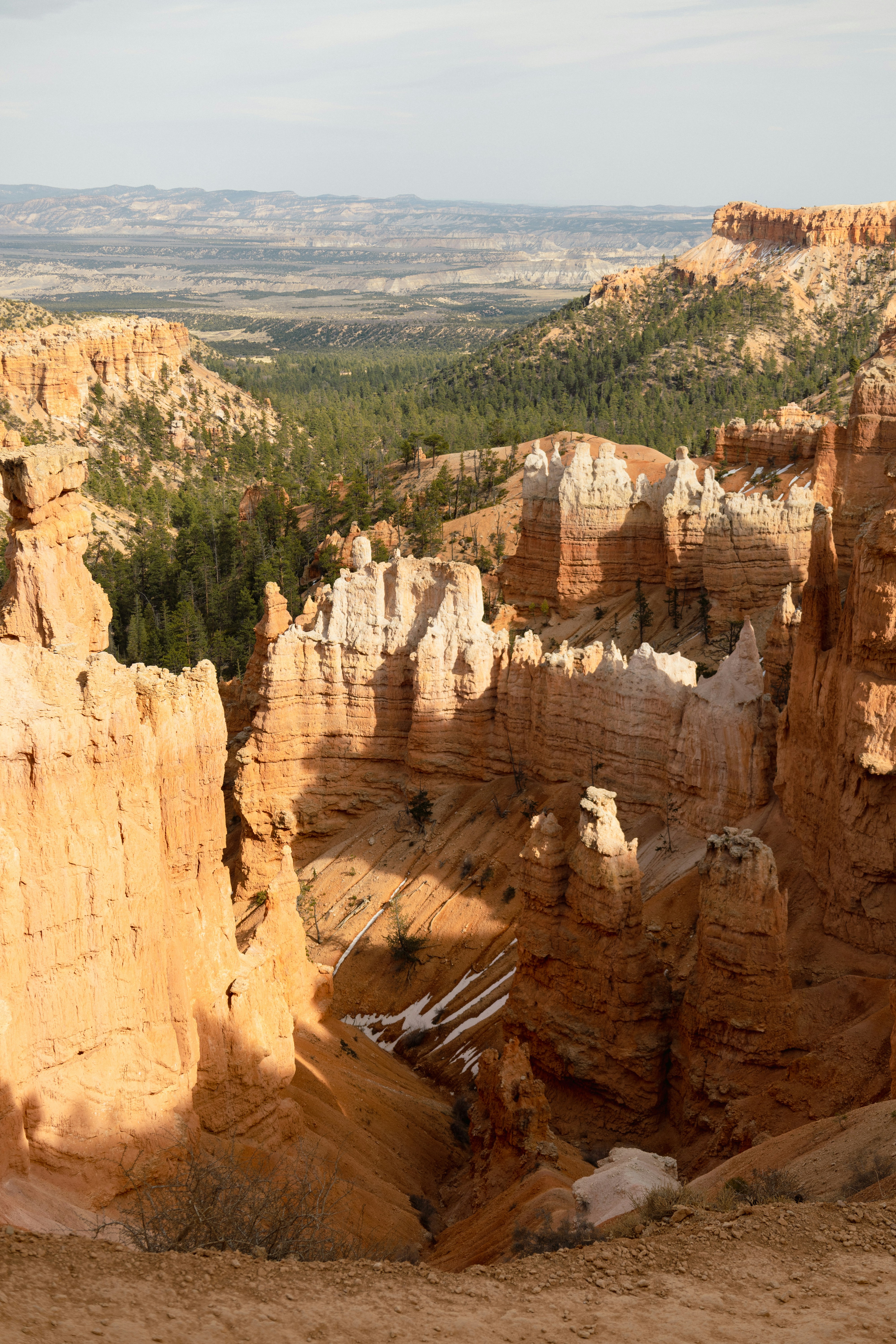 Photo by vincentyuan87