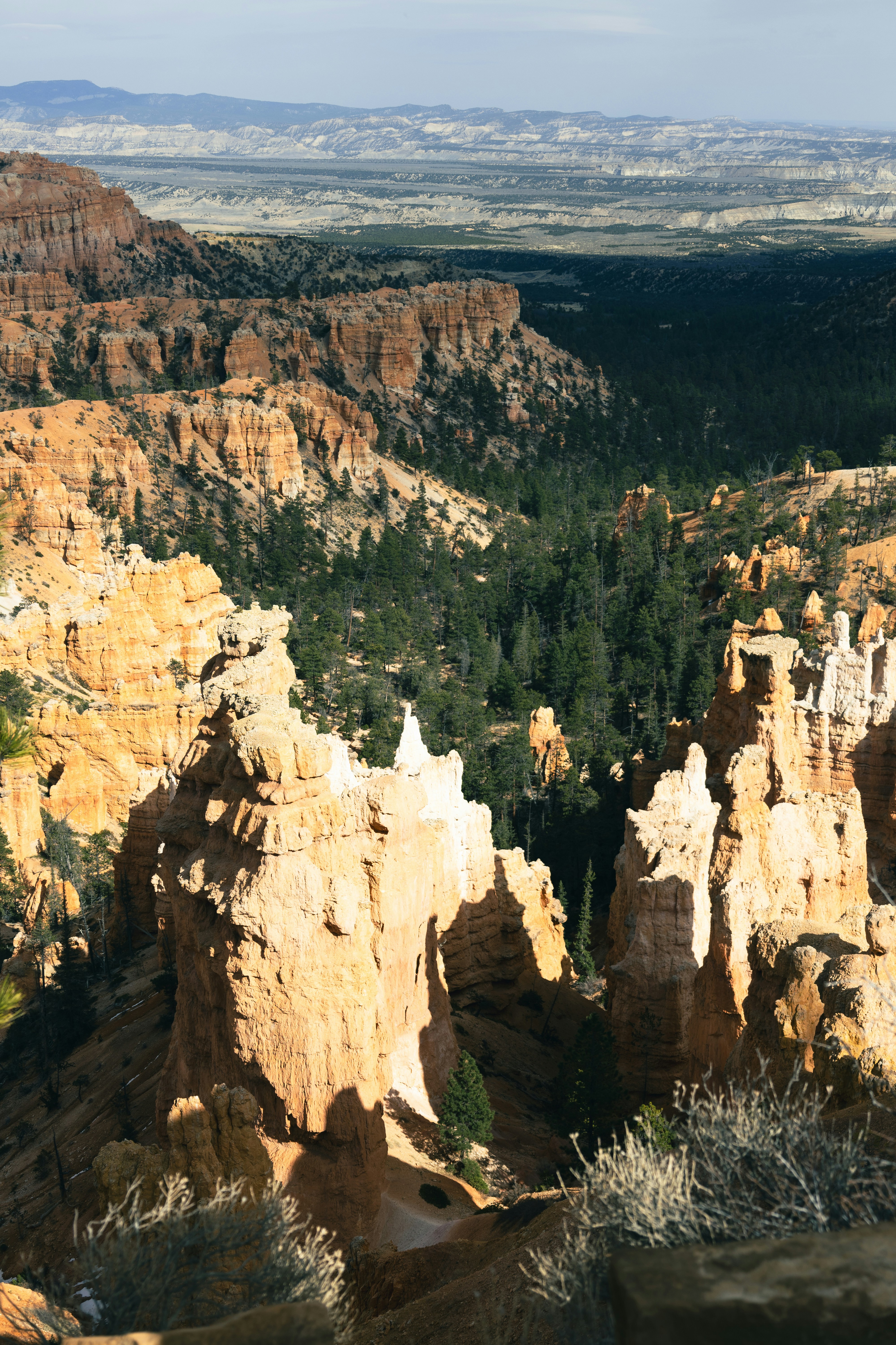 Photo by vincentyuan87