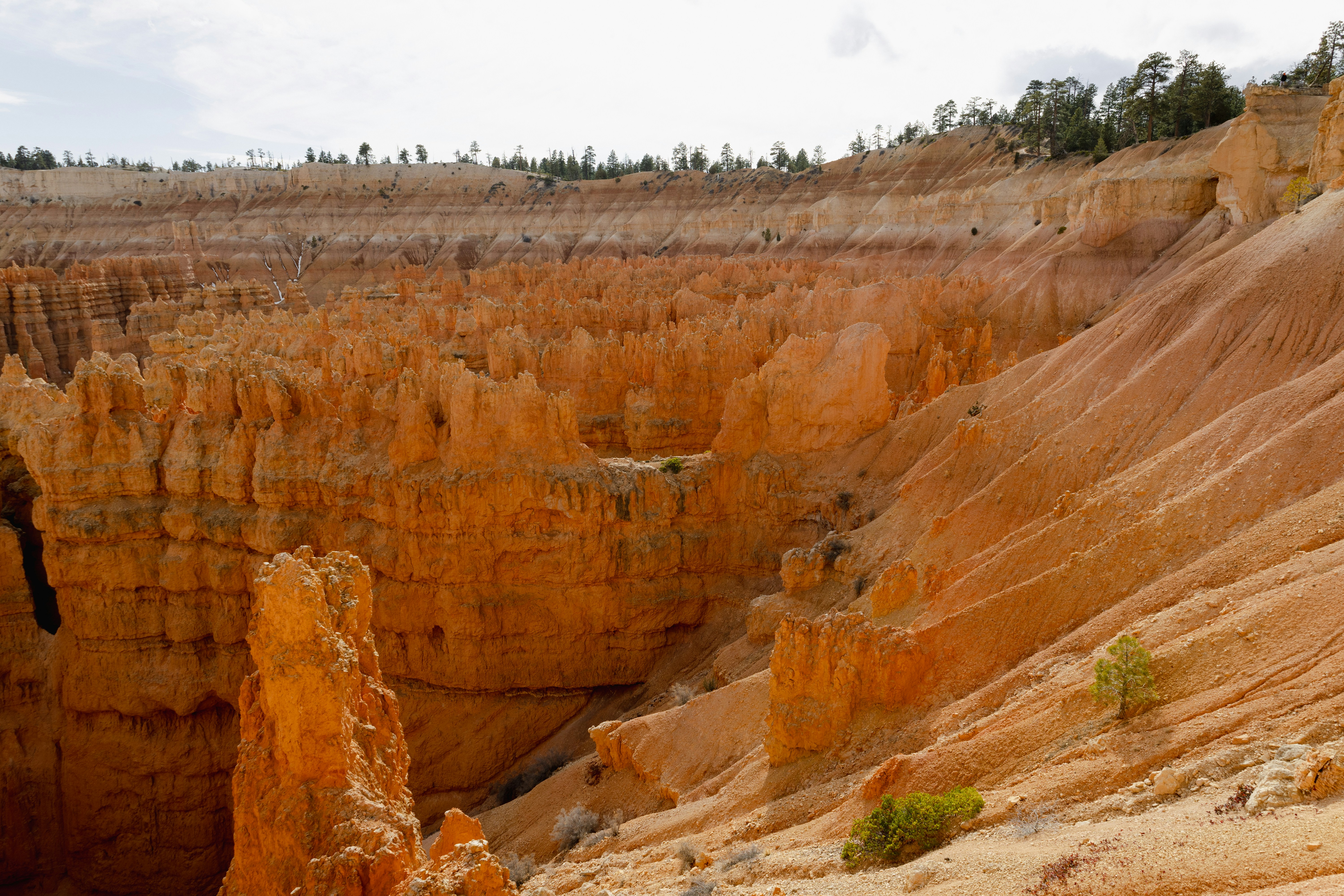 Photo by vincentyuan87