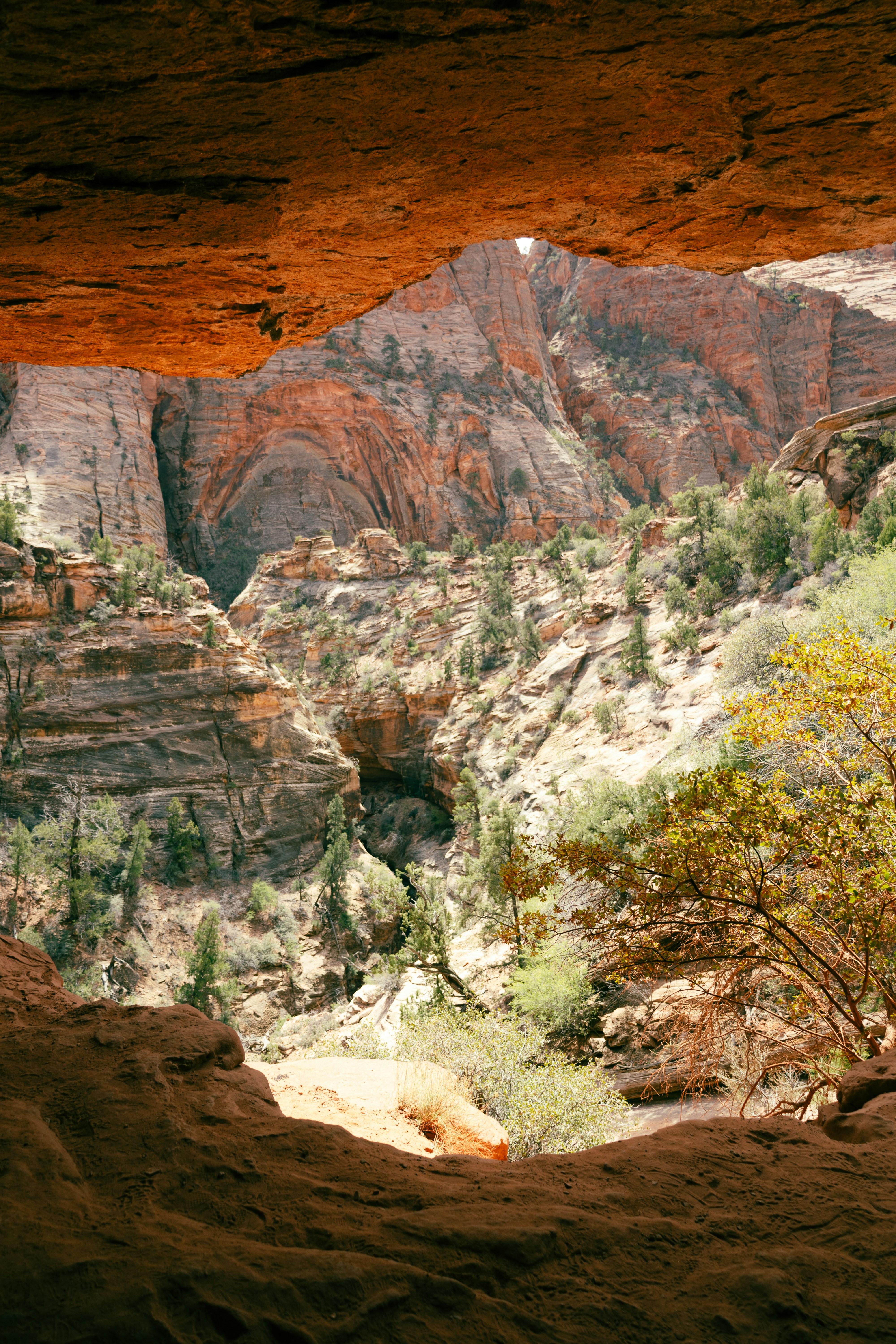 Photo by vincentyuan87