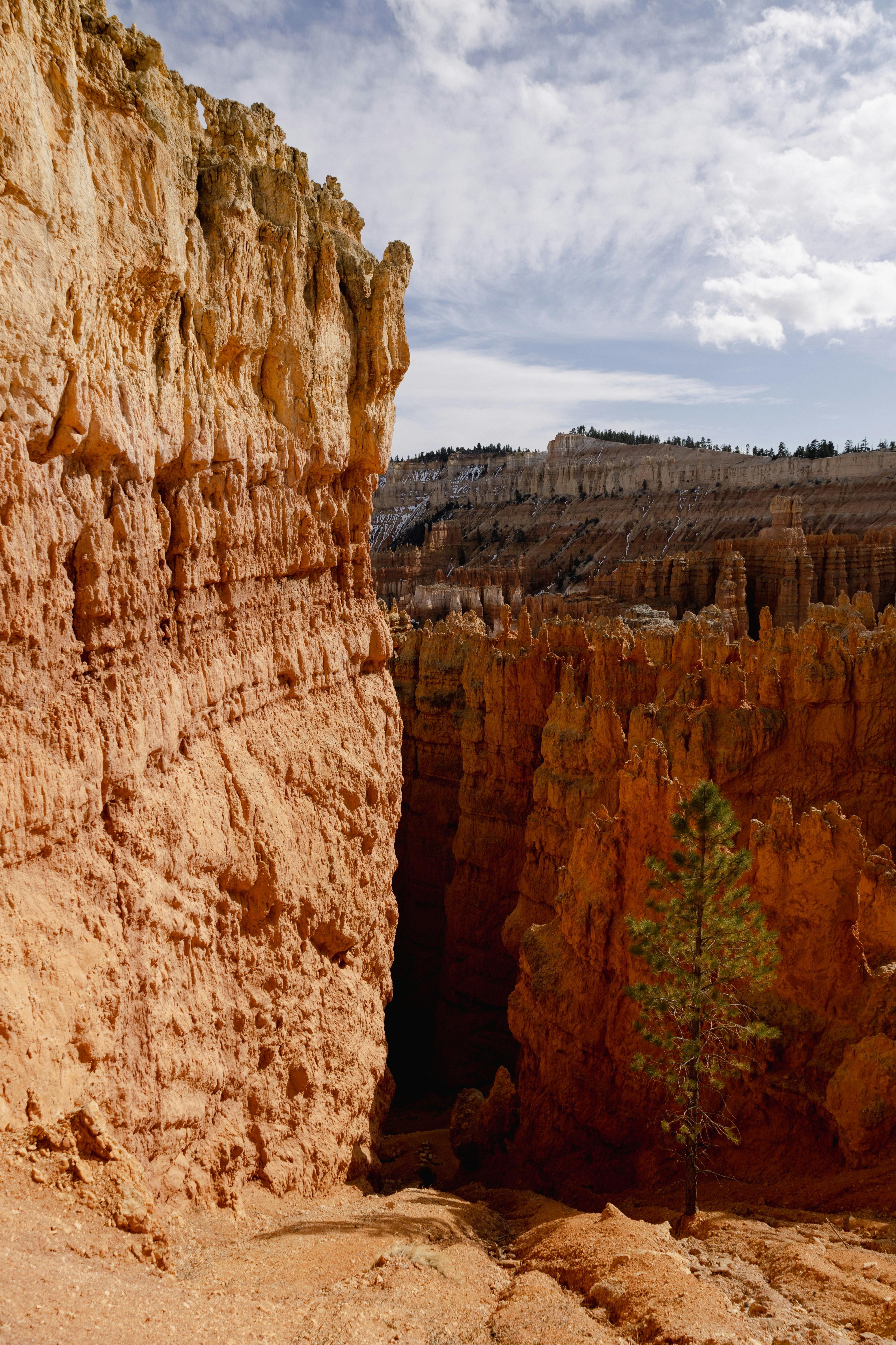 Photo by vincentyuan87