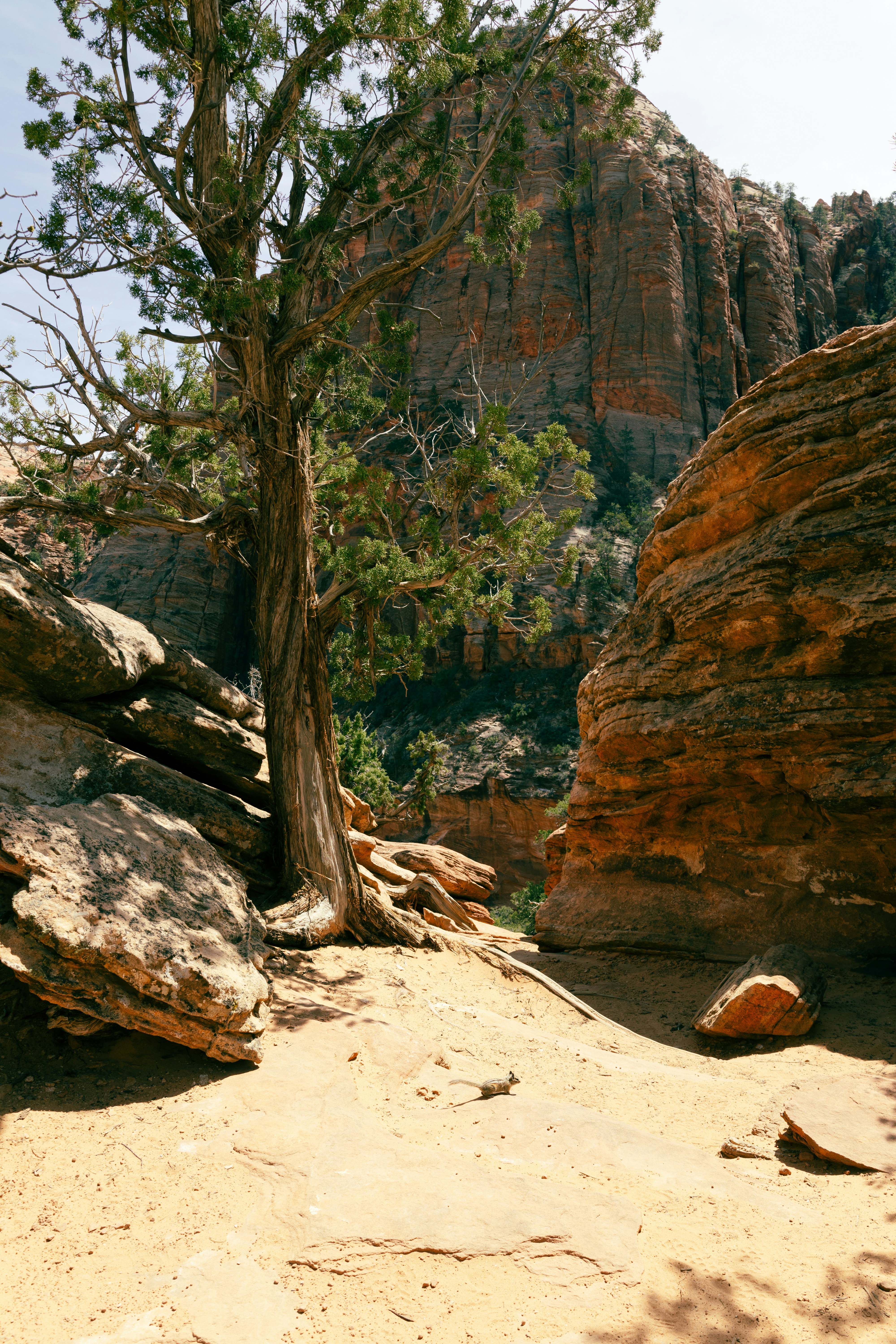 Photo by vincentyuan87