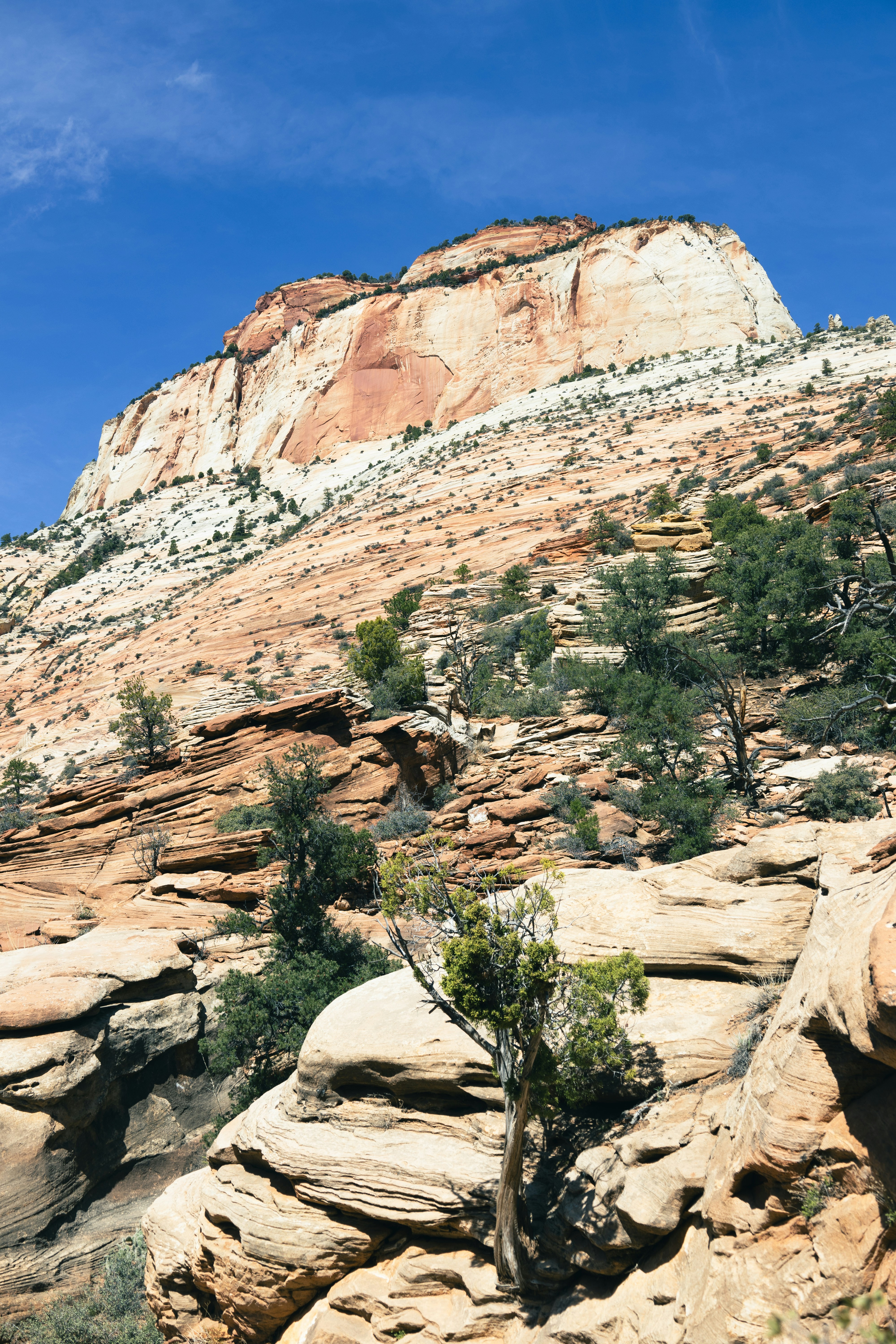 Photo by vincentyuan87