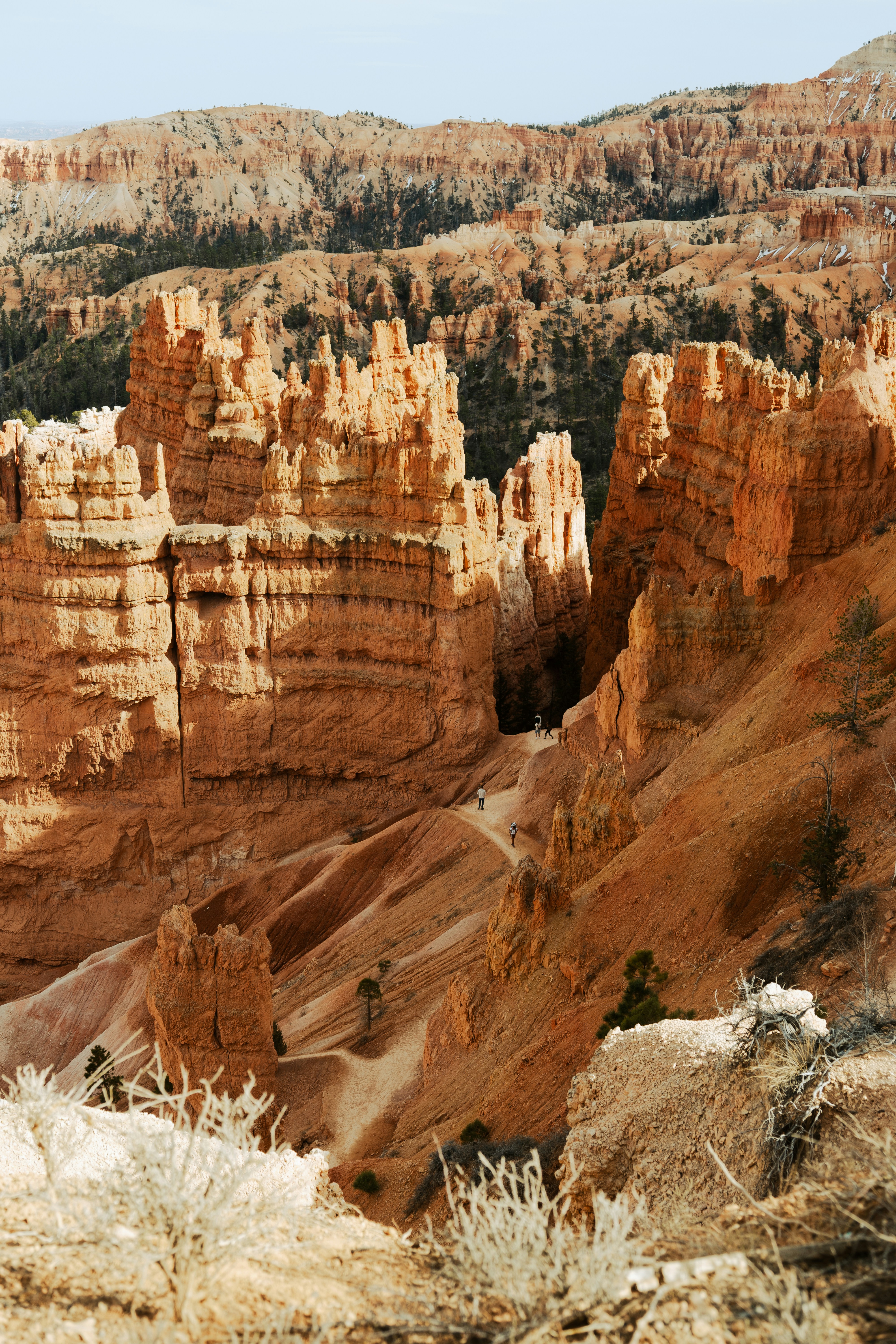 Photo by vincentyuan87