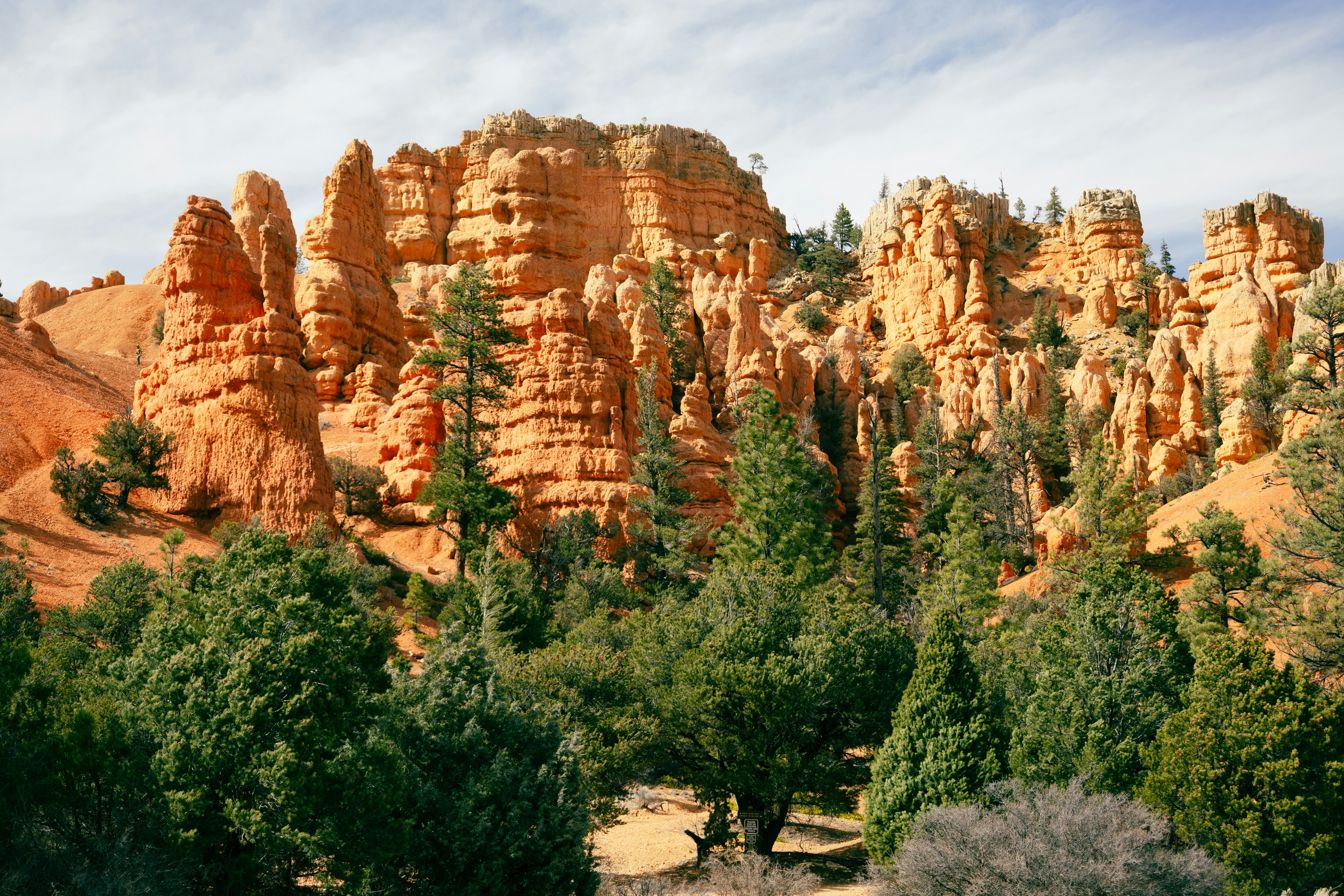 Photo by vincentyuan87