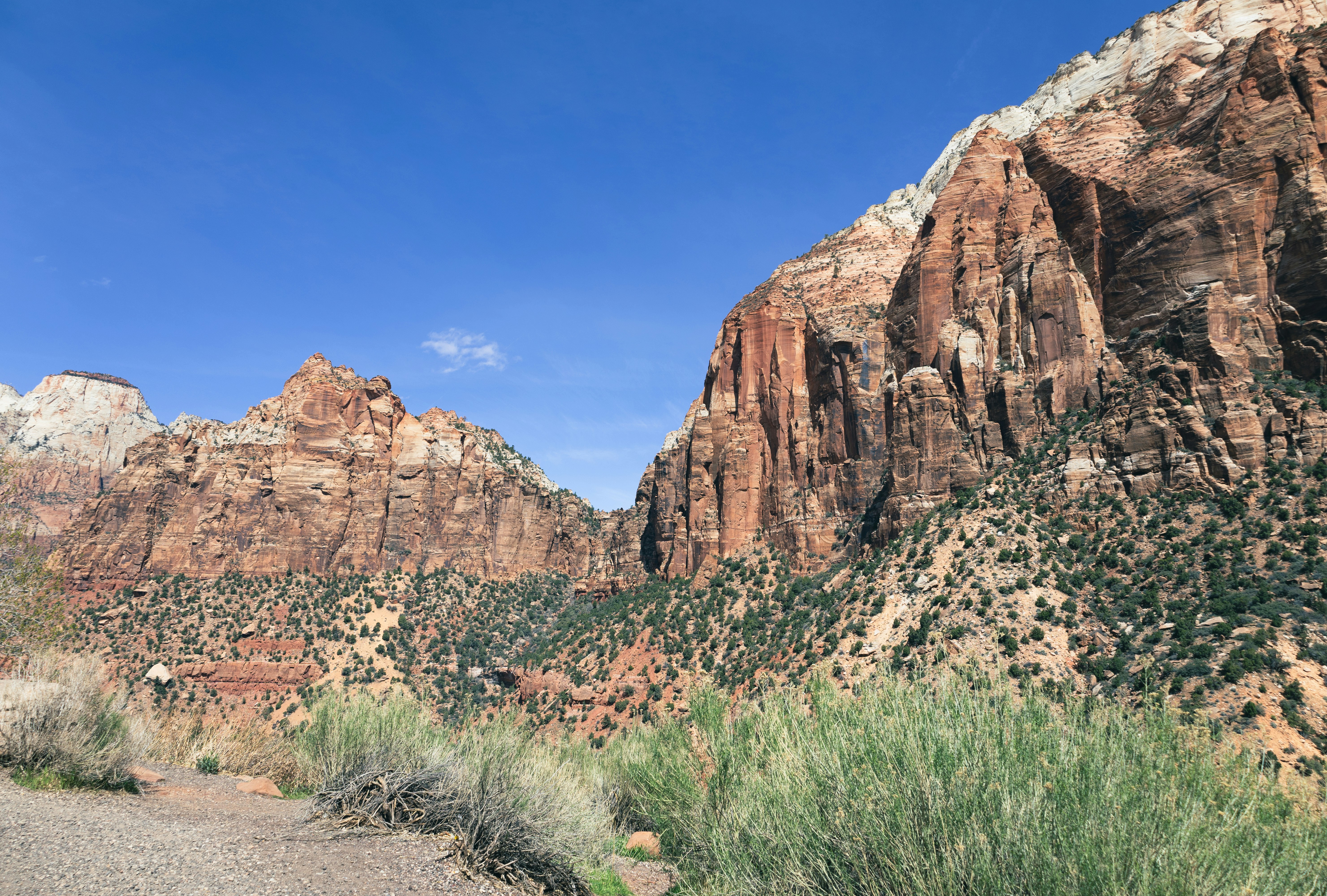 Photo by vincentyuan87