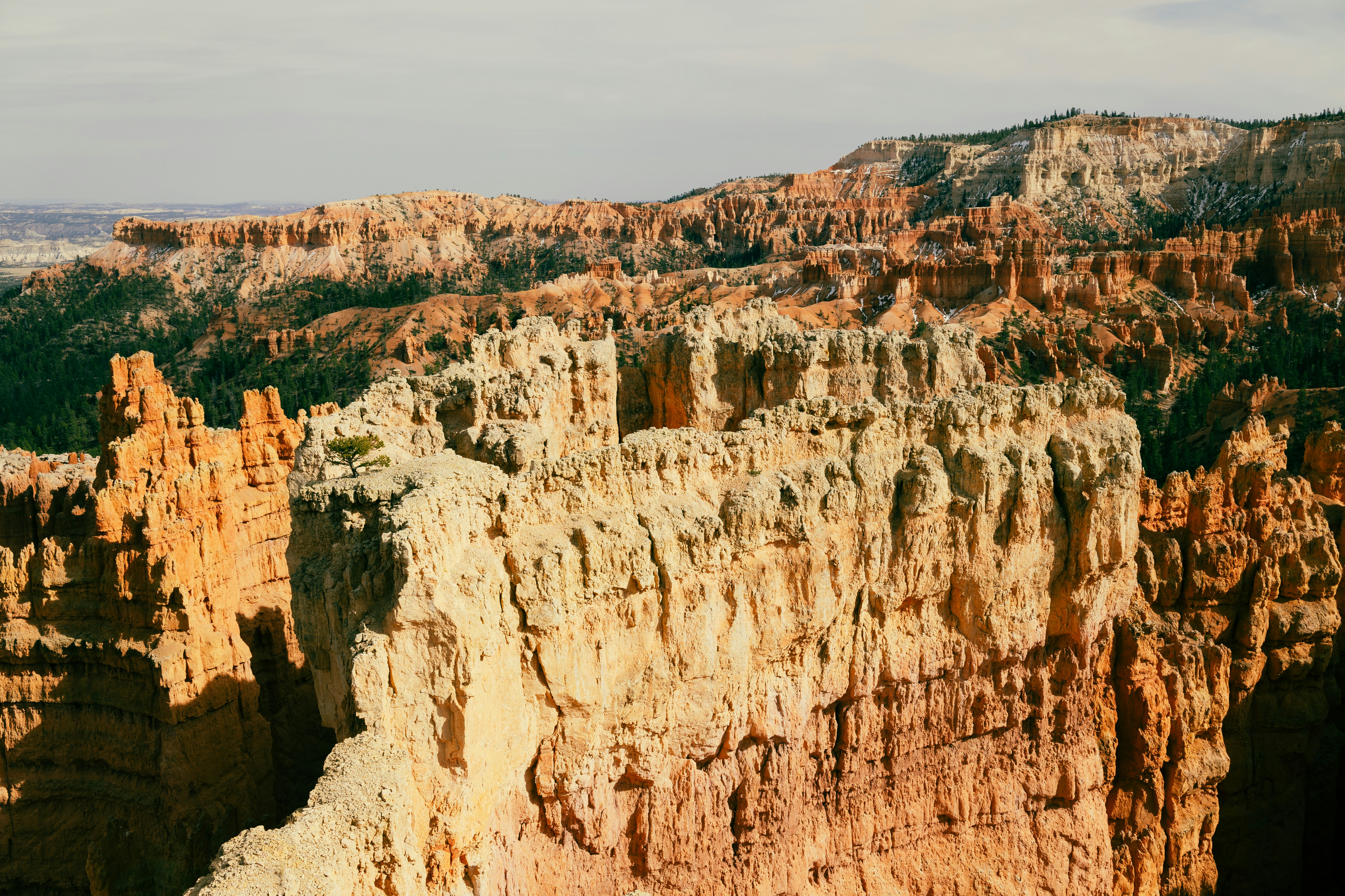 Photo by vincentyuan87