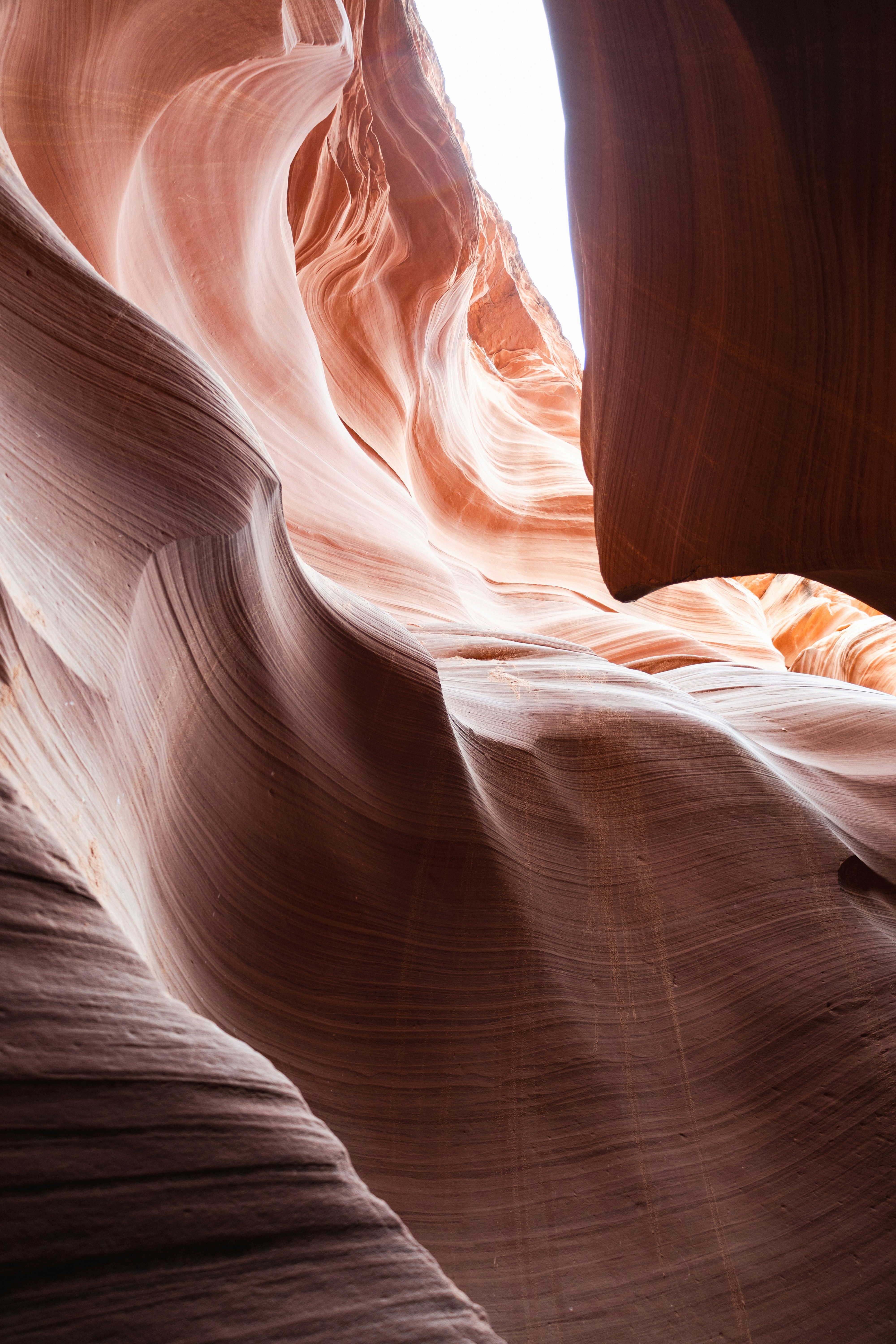 Photo by vincentyuan87