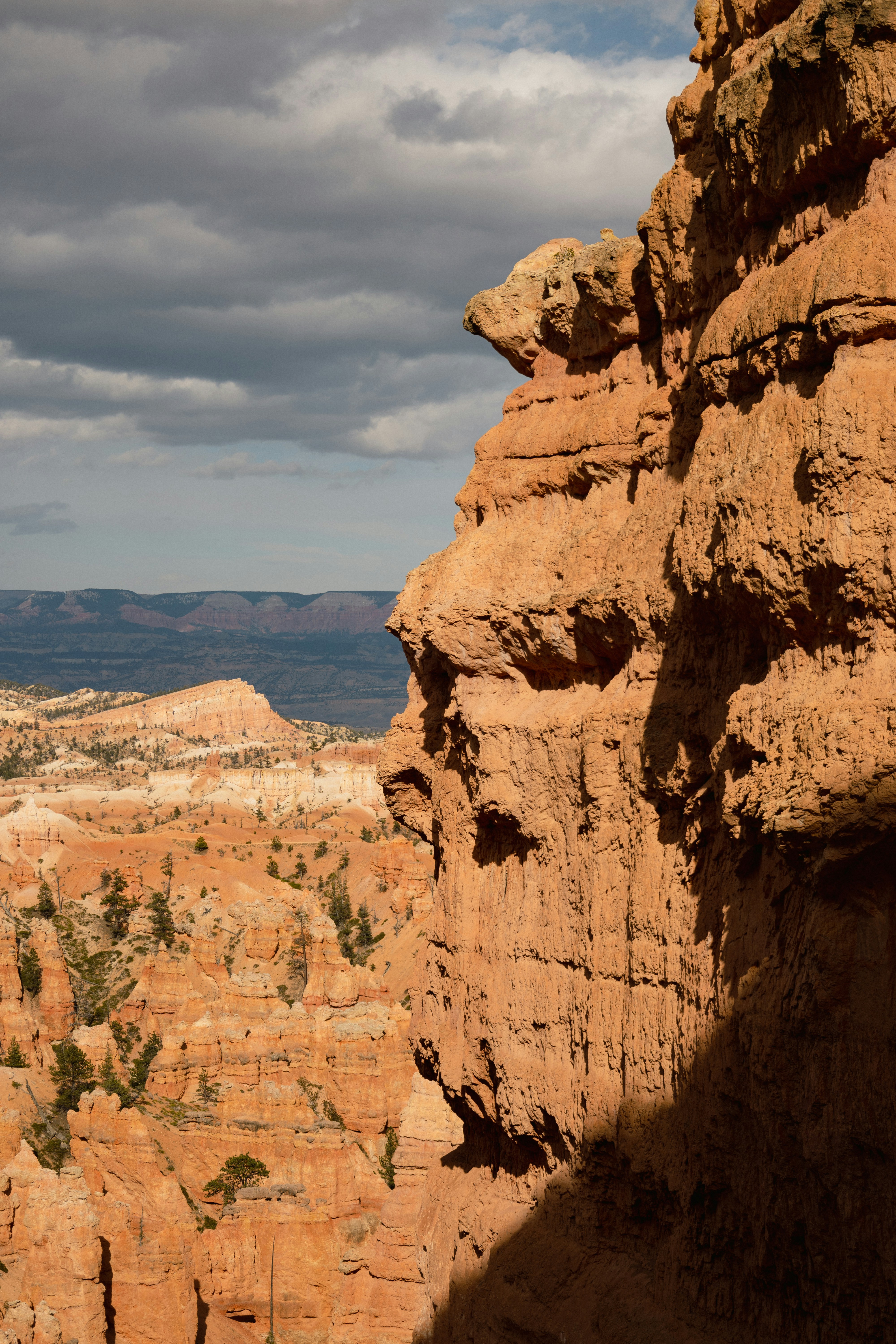 Photo by vincentyuan87