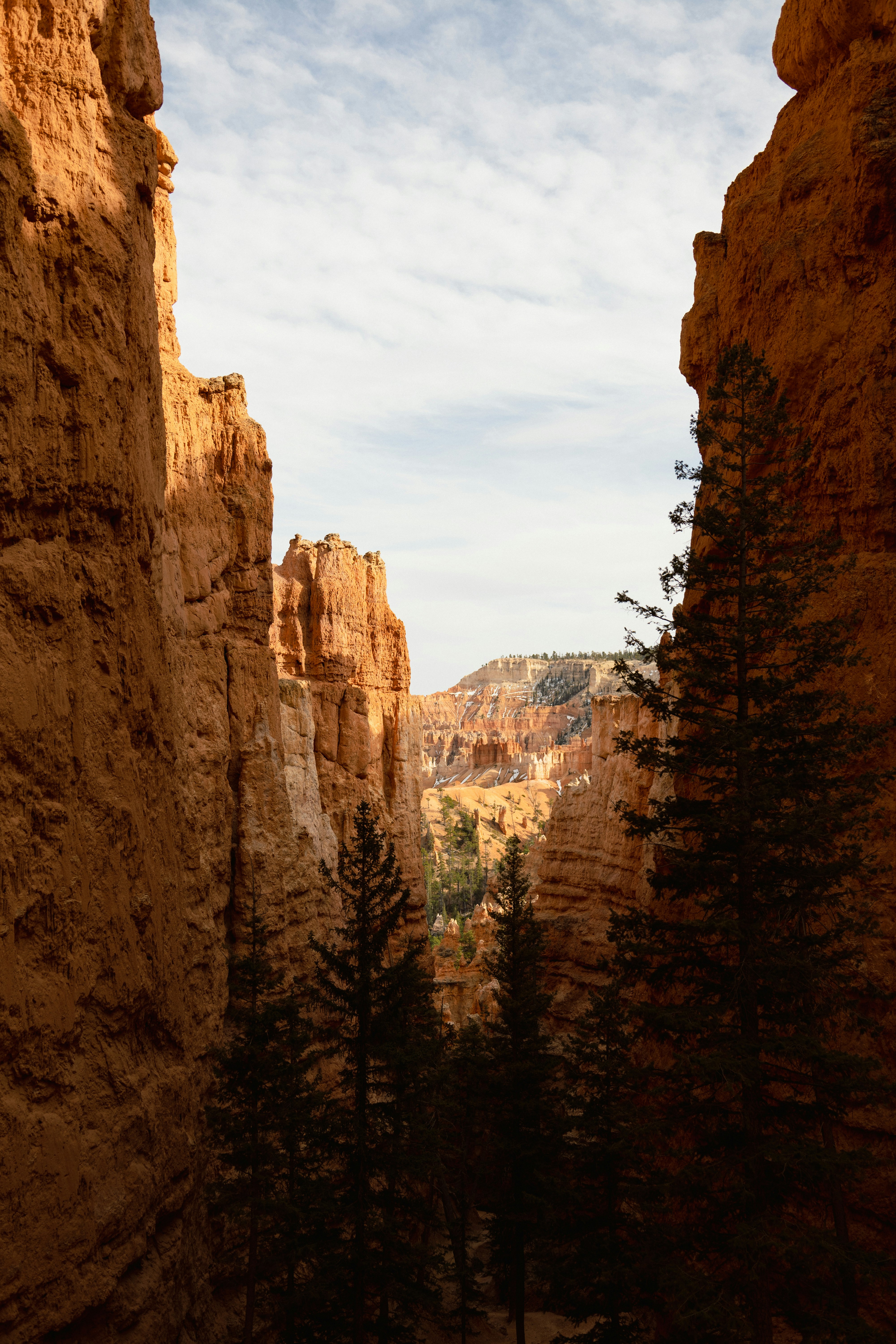 Photo by vincentyuan87