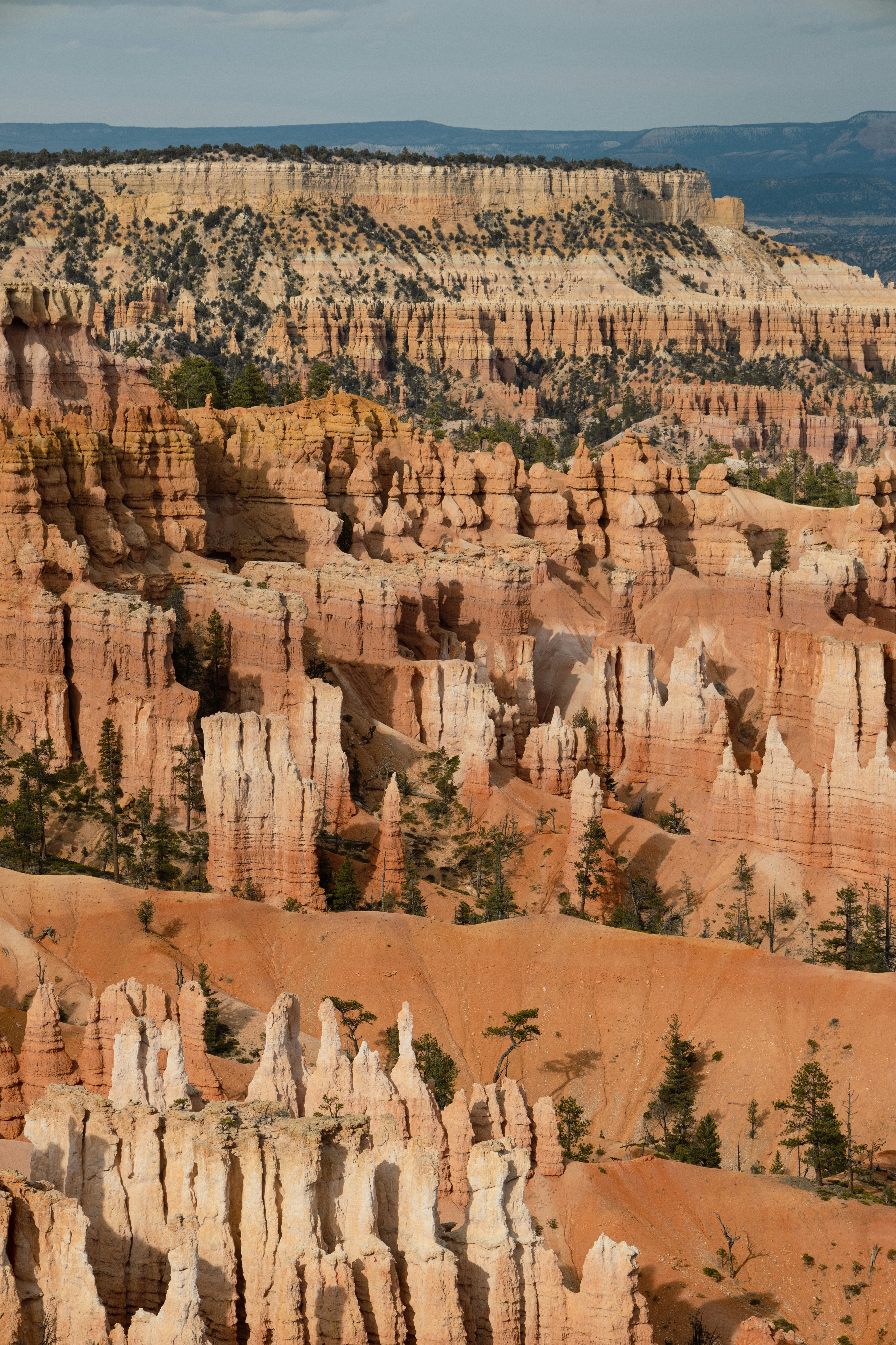 Photo by vincentyuan87