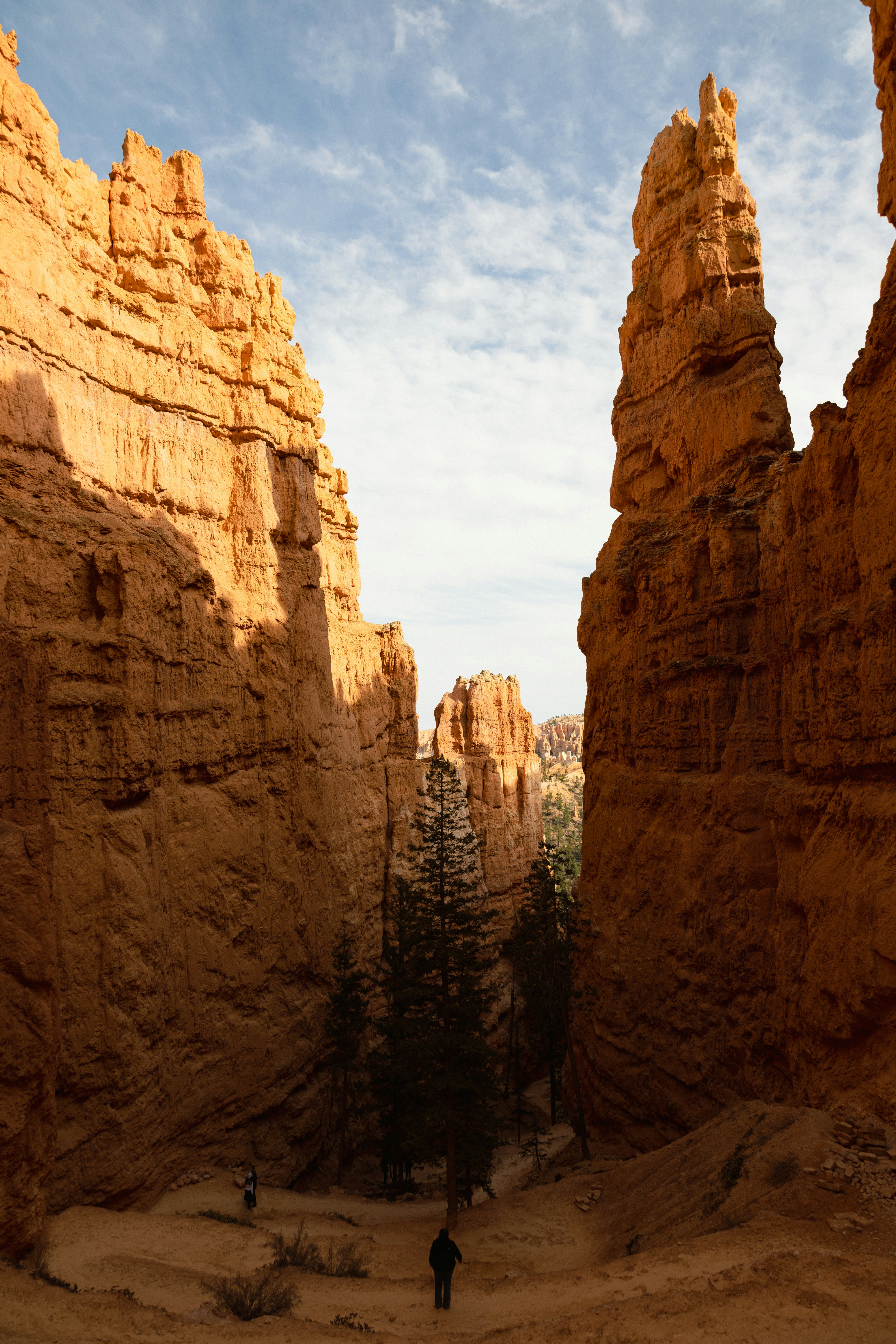 Photo by vincentyuan87