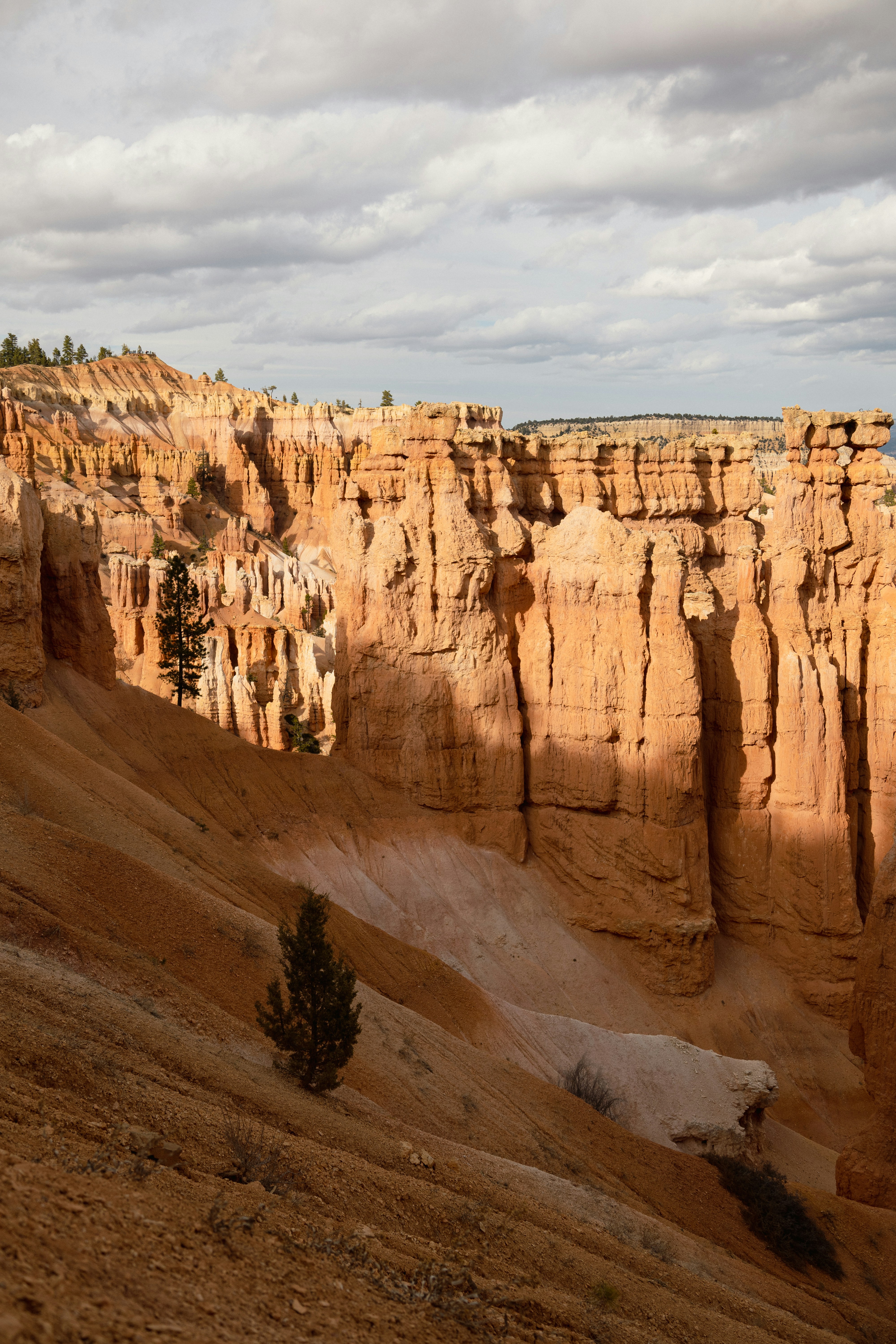 Photo by vincentyuan87