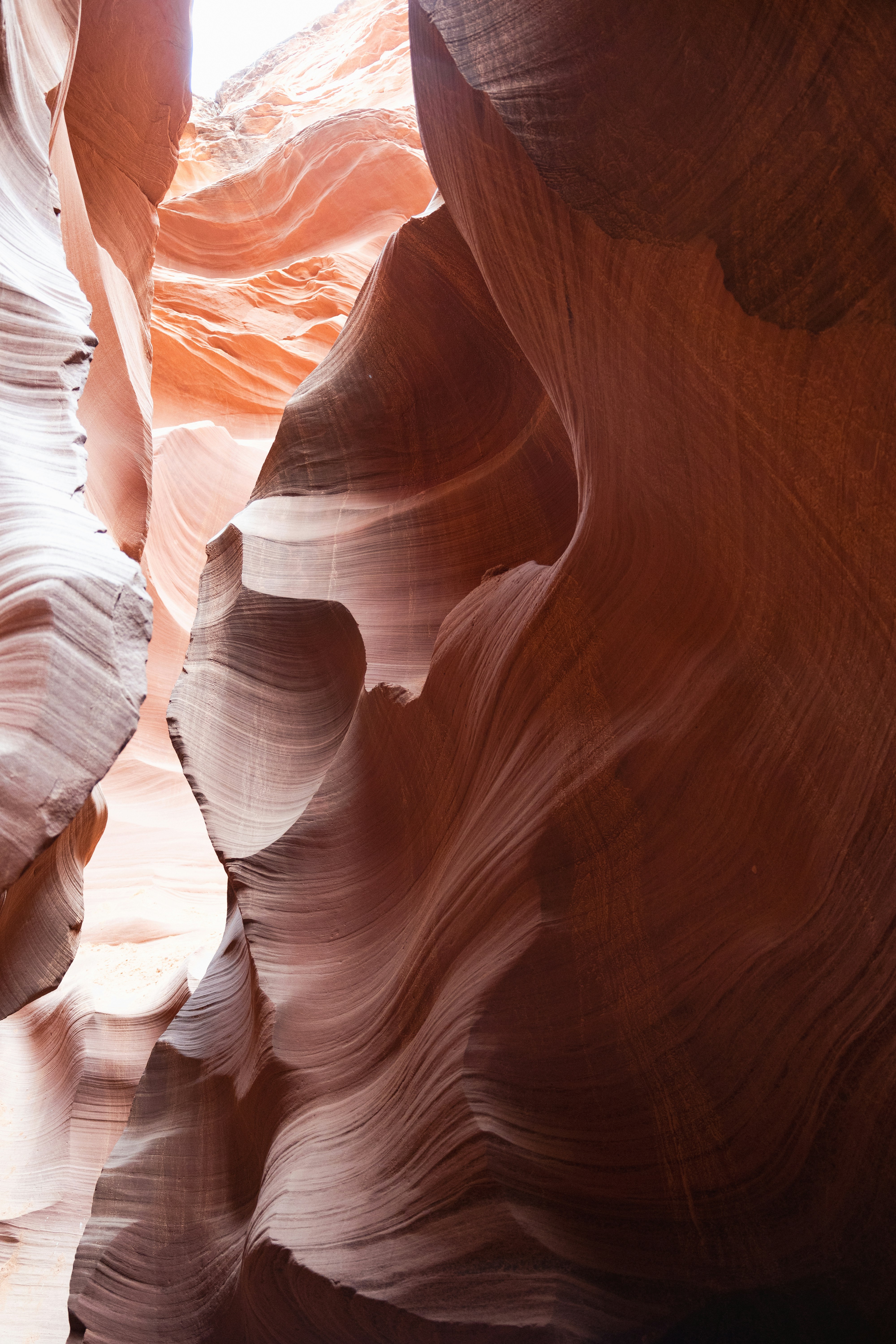 Photo by vincentyuan87