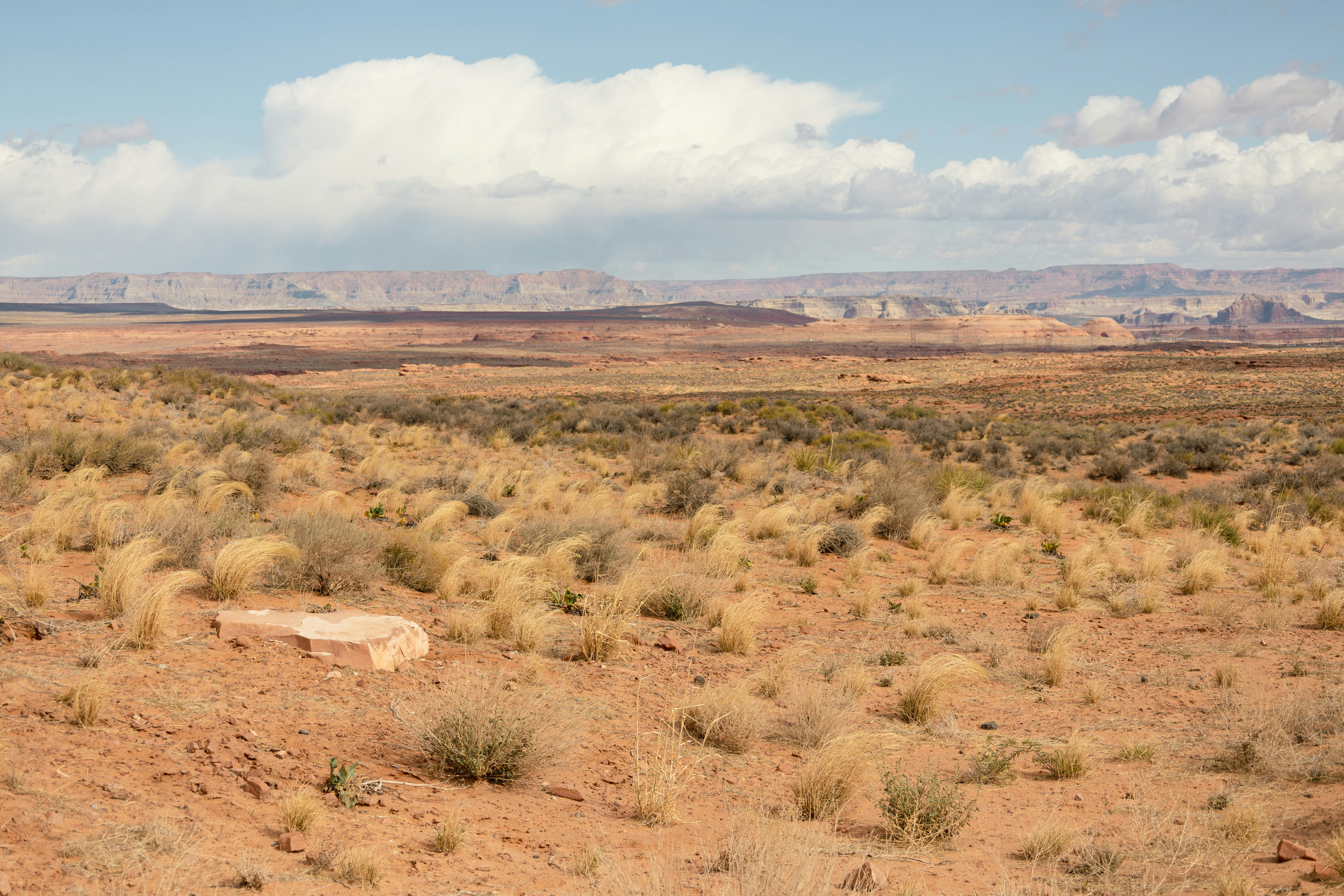 Photo by vincentyuan87