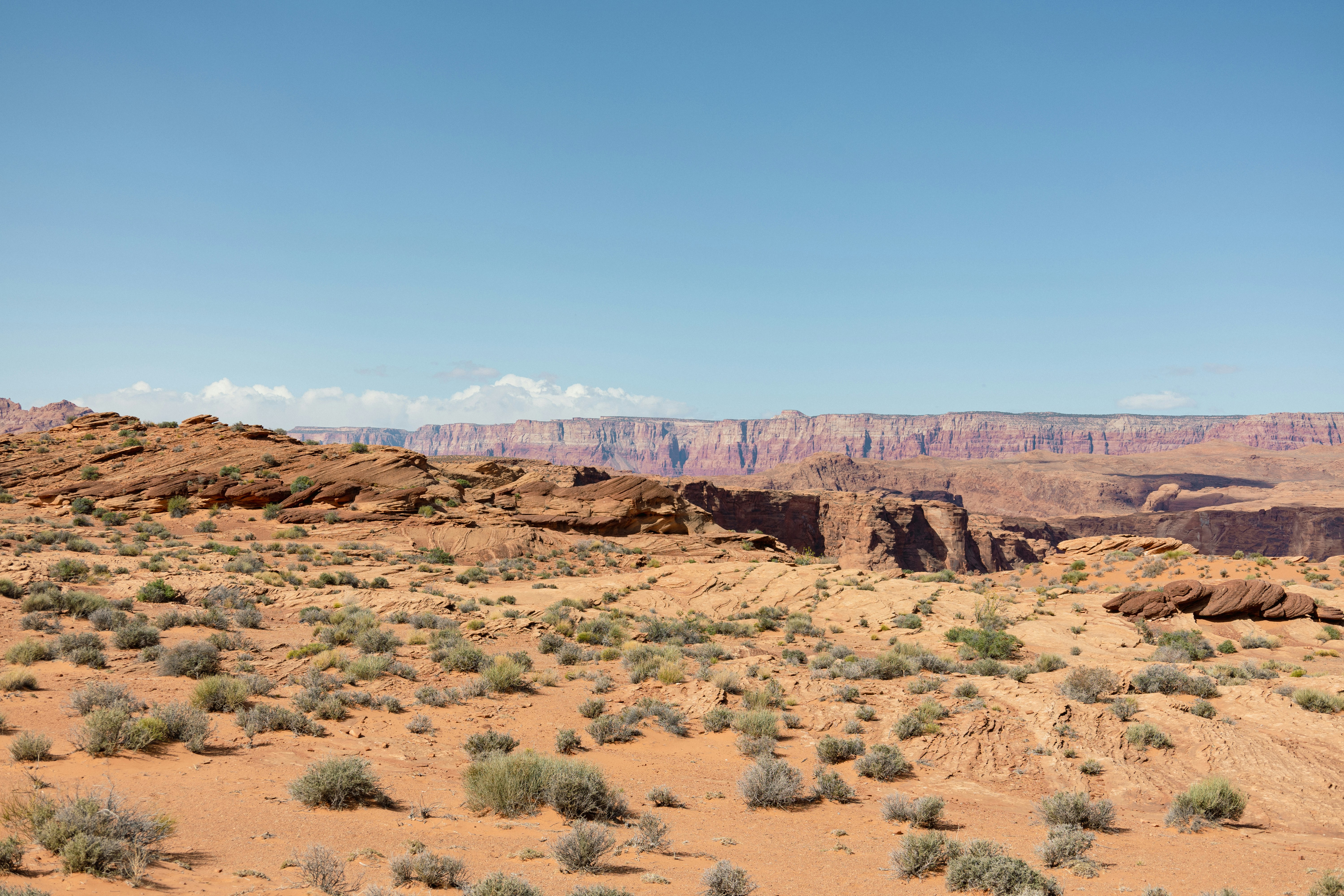 Photo by vincentyuan87