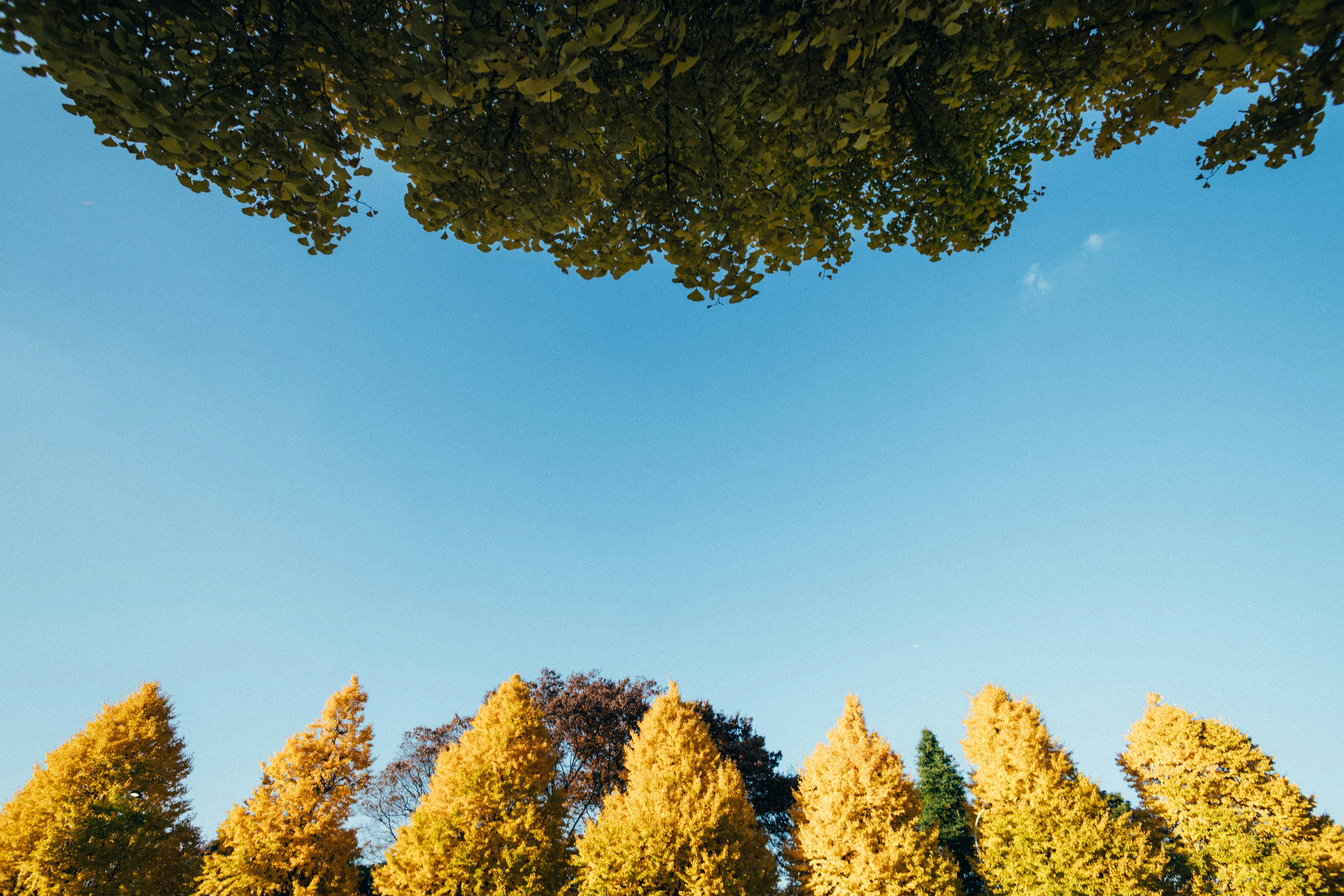 Photo by tsuyoshikozu