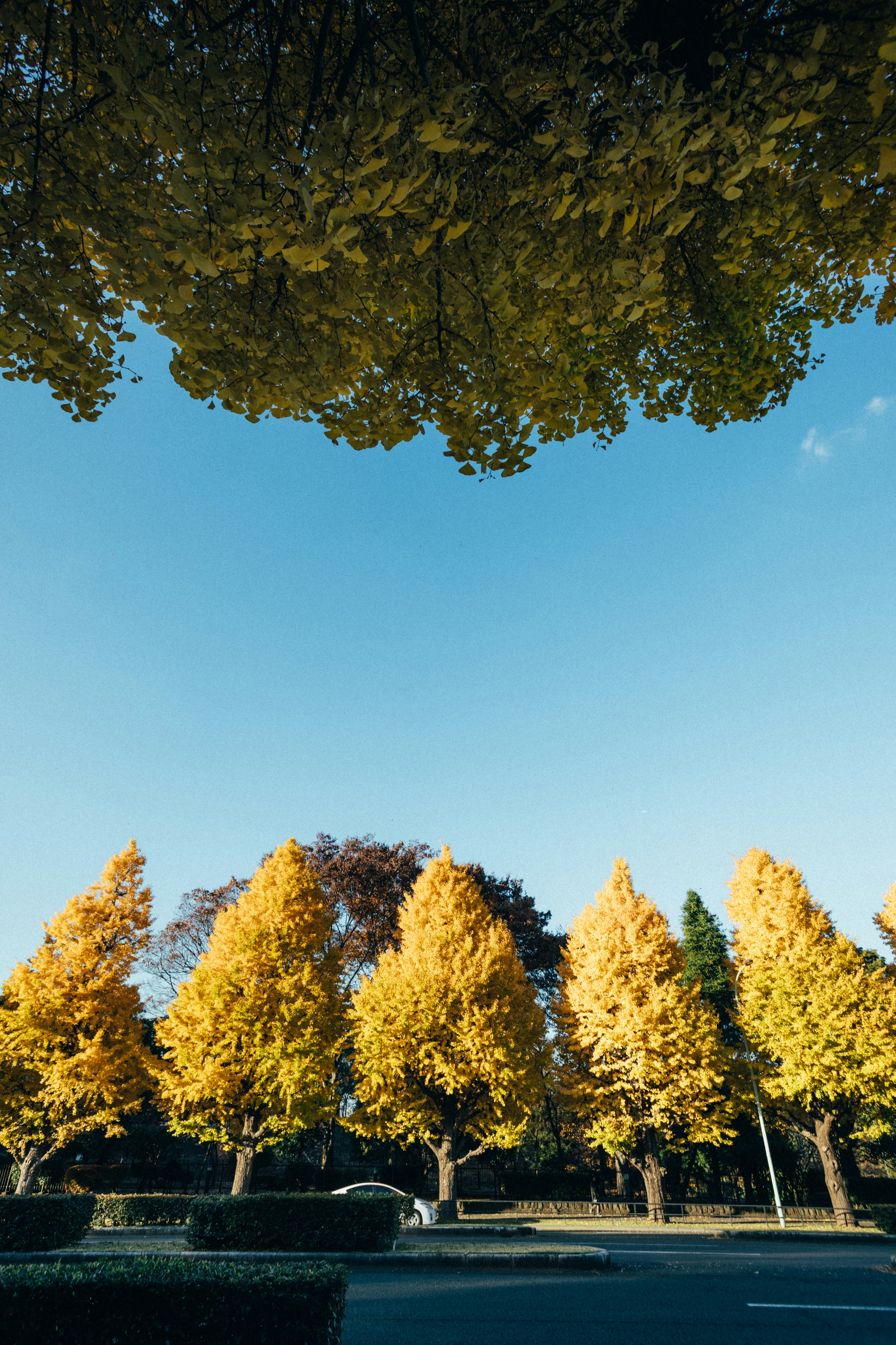 Photo by tsuyoshikozu