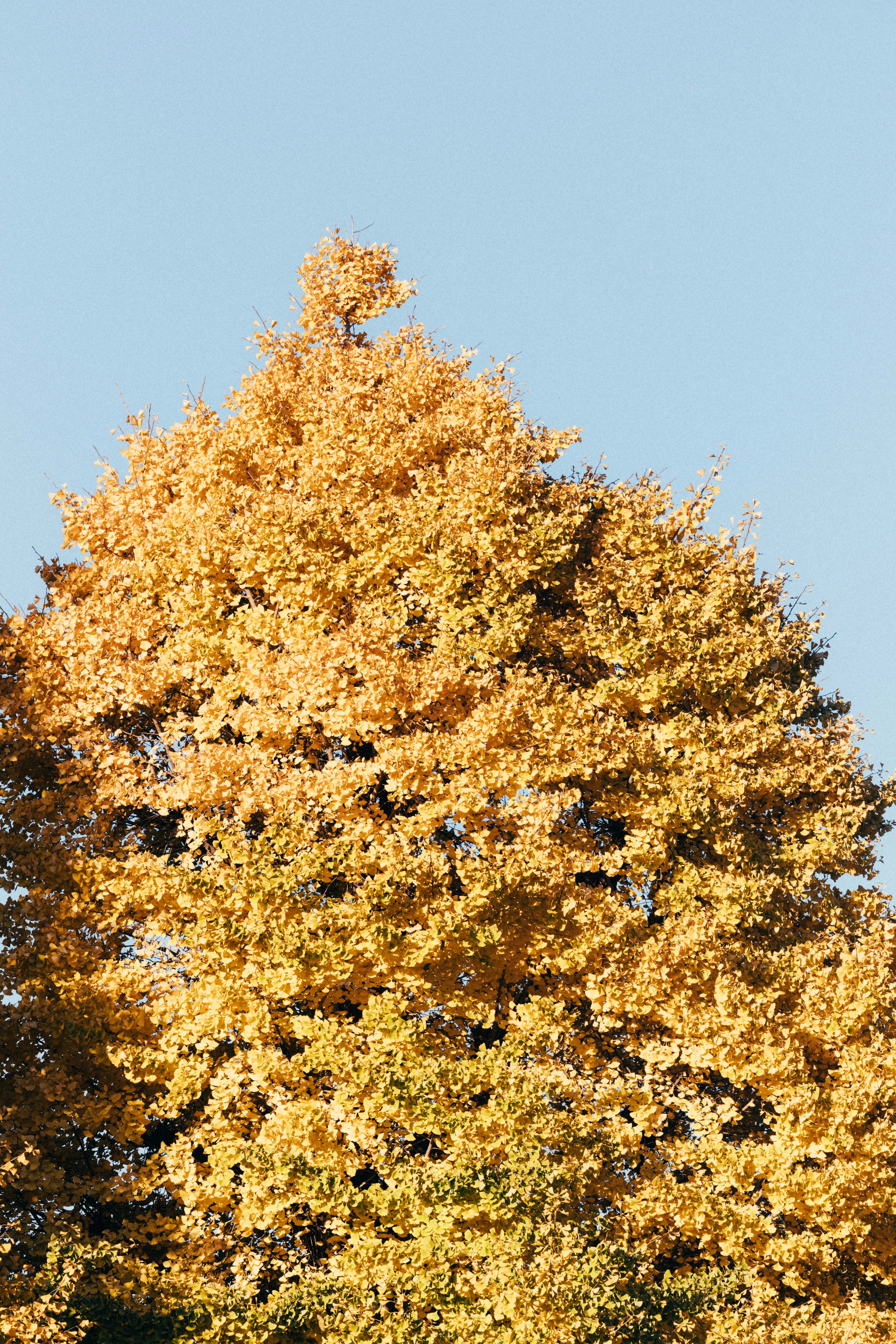 Photo by tsuyoshikozu