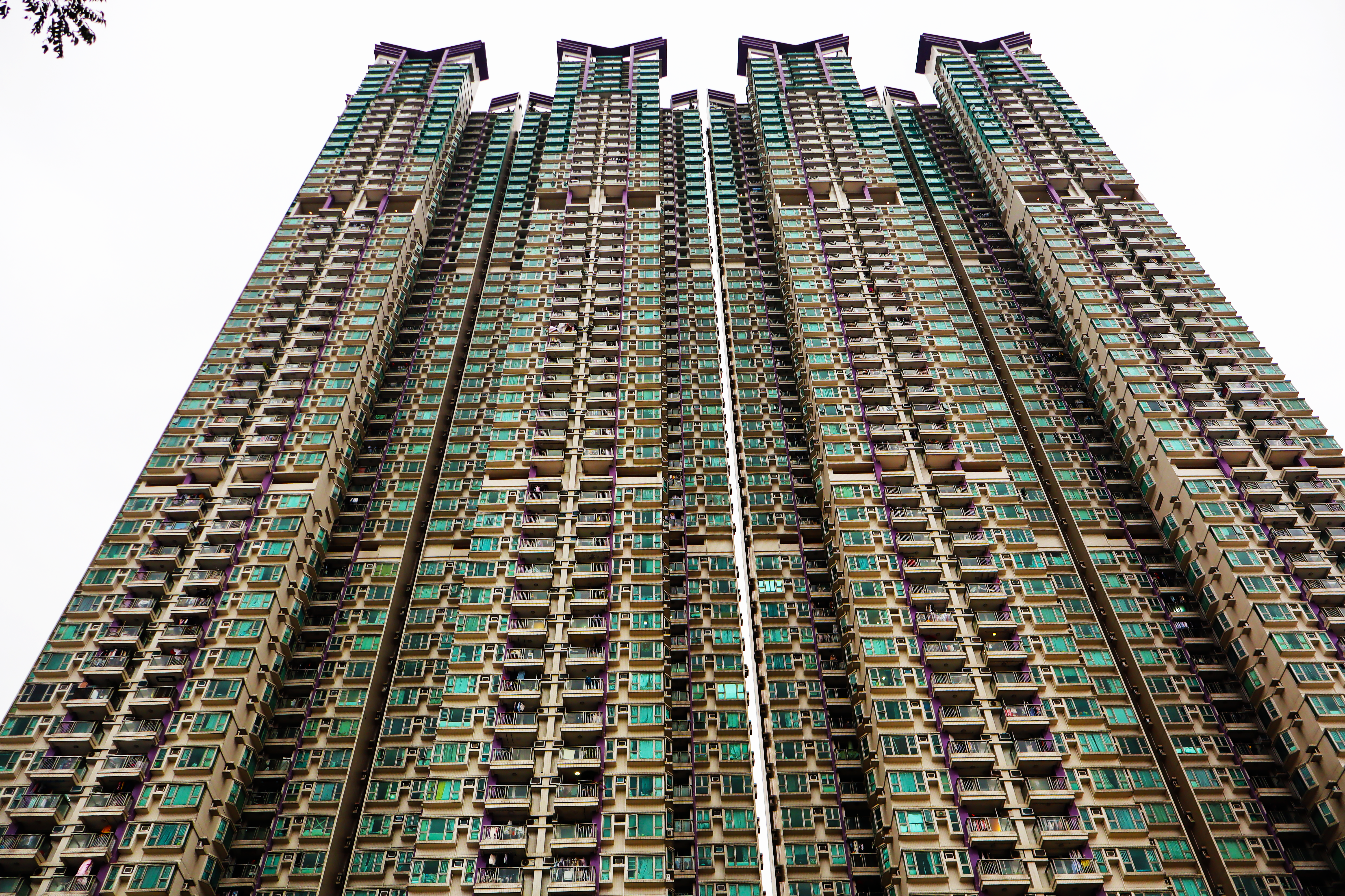 Photo by mirnawabisabi