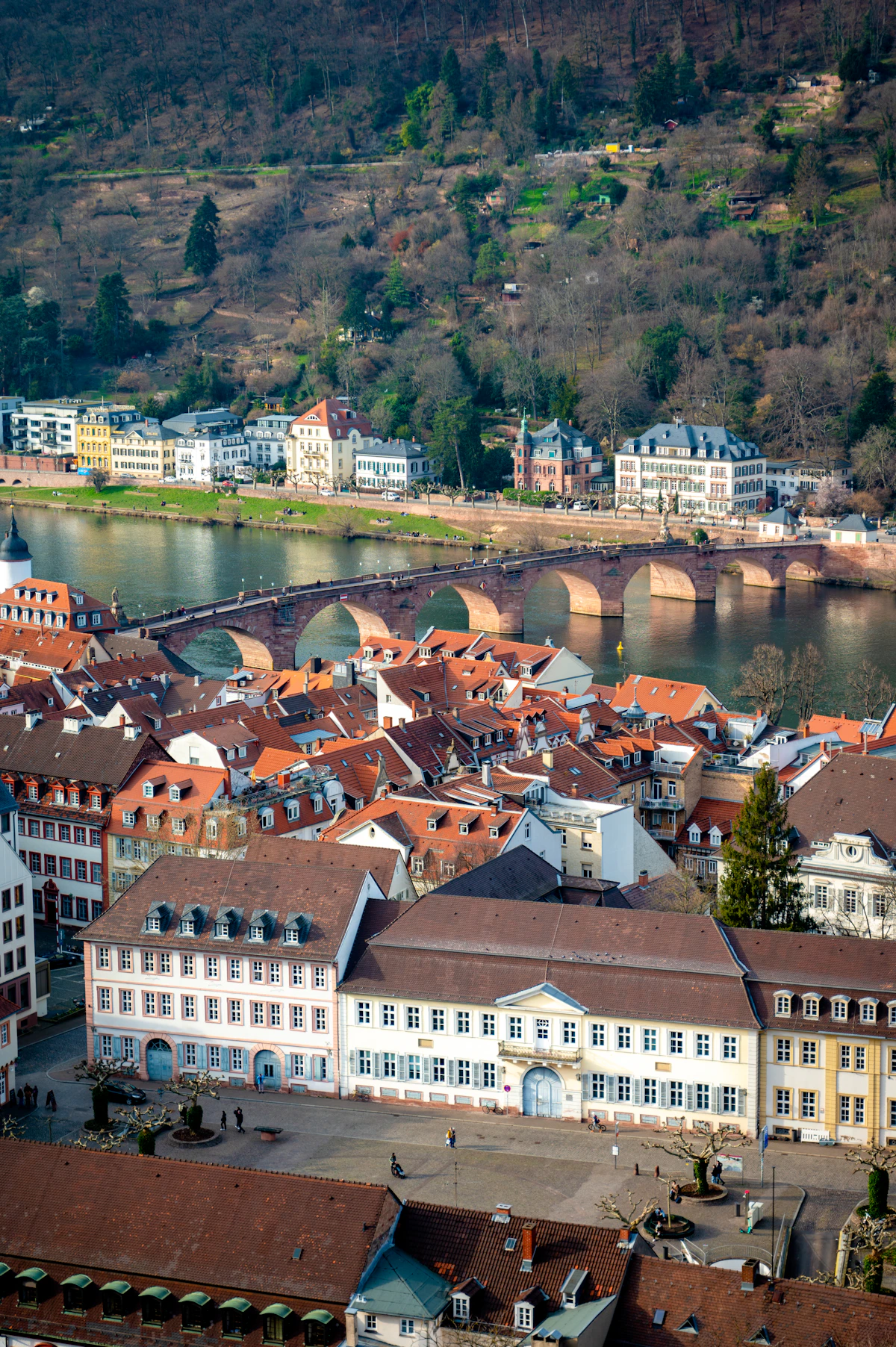 SOP for Germany: What uni-assist and German Universities Actually Look For