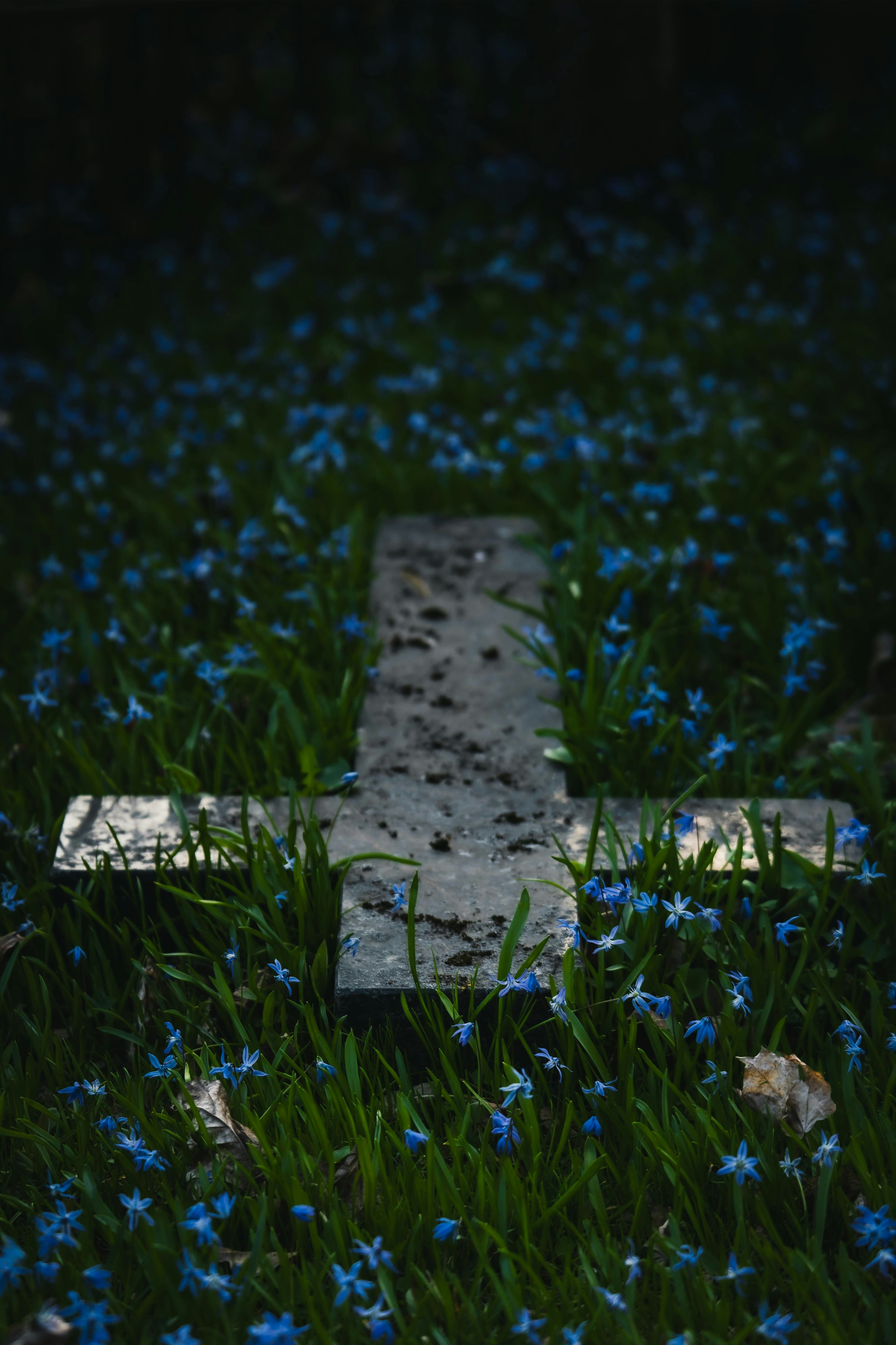 A gravestone cross is surrounded by blue flowers.