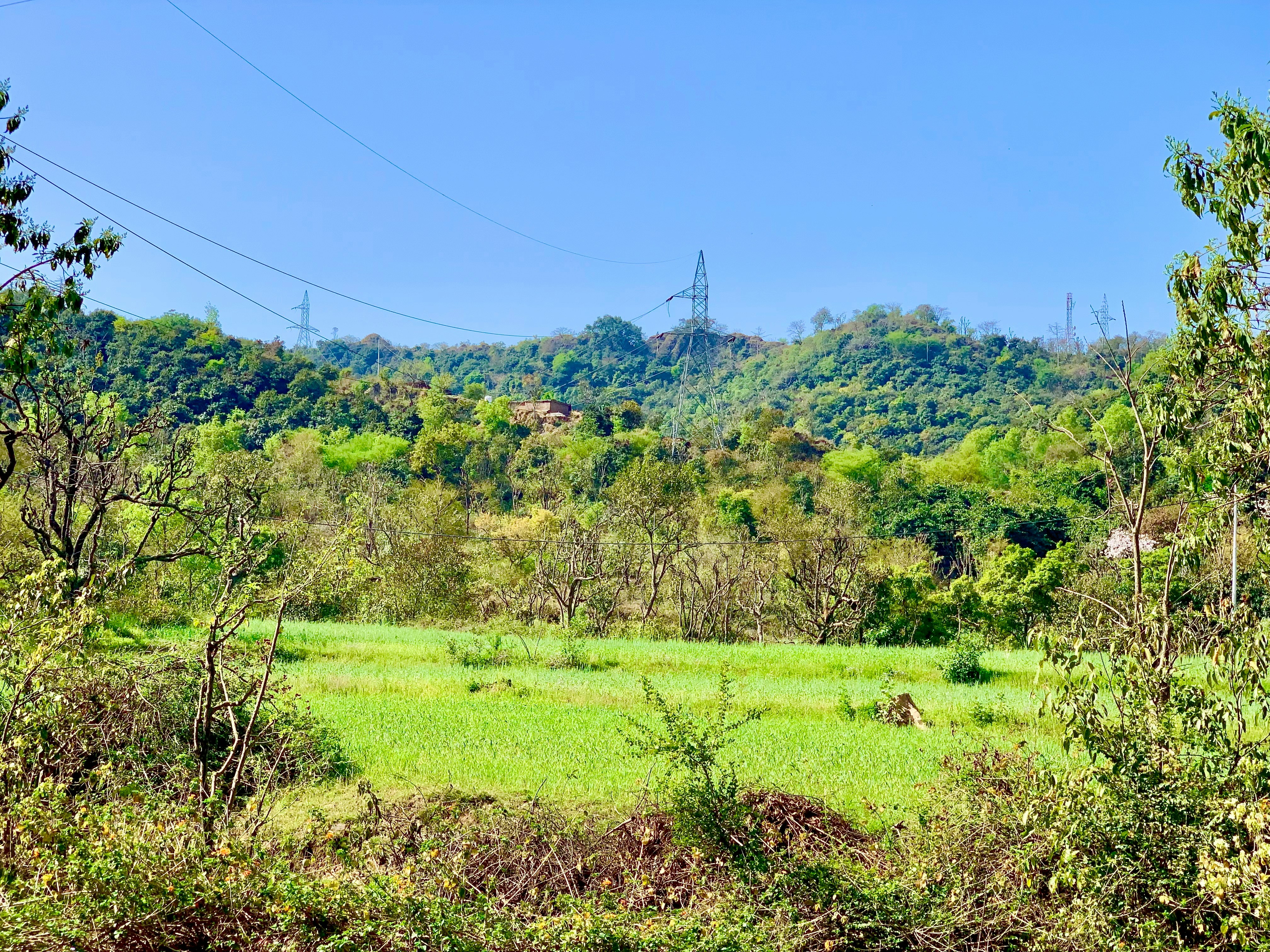 Photo by madee_singh