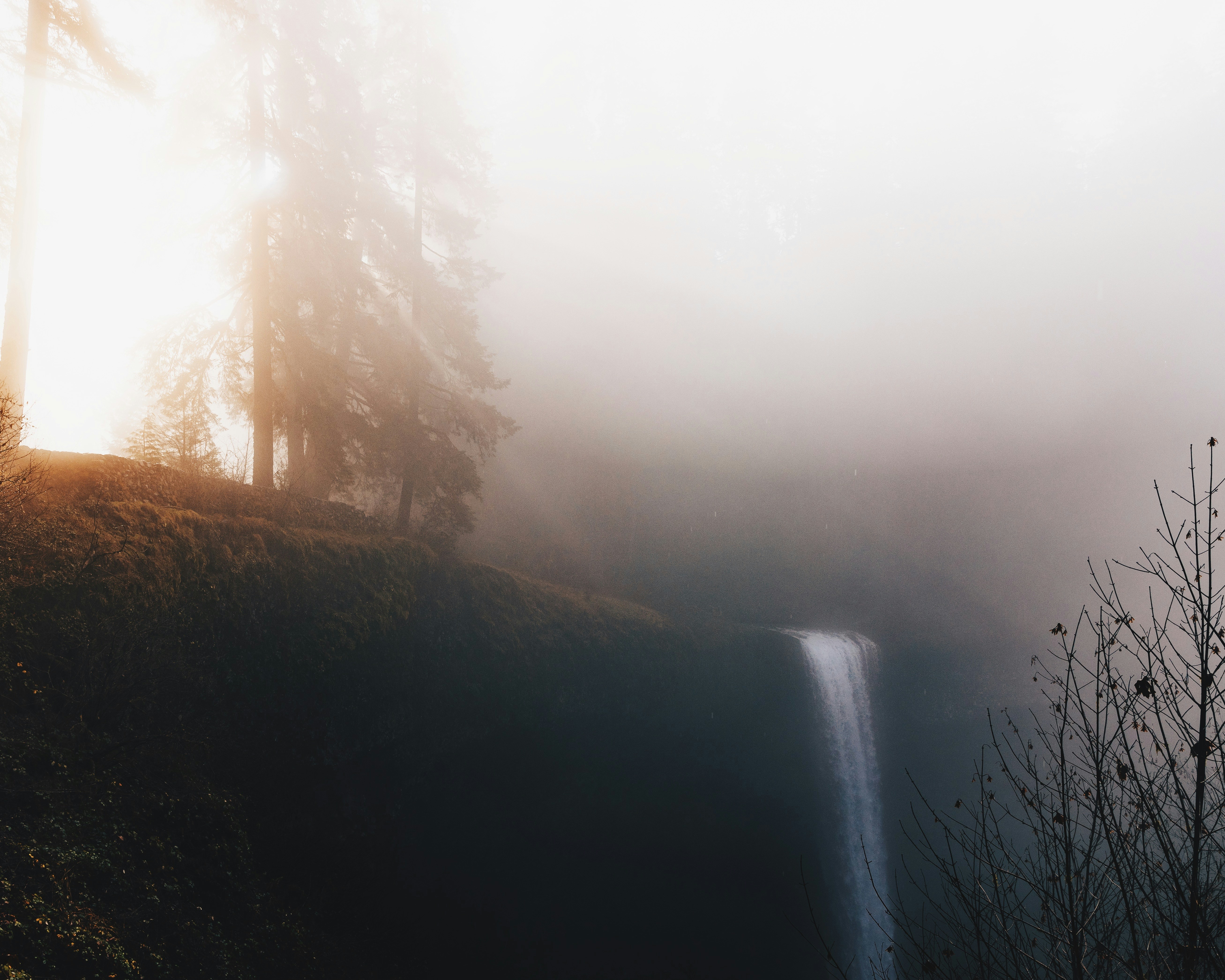 霧のかかった日当たりの良い森の中を滝が流れ落ちます。