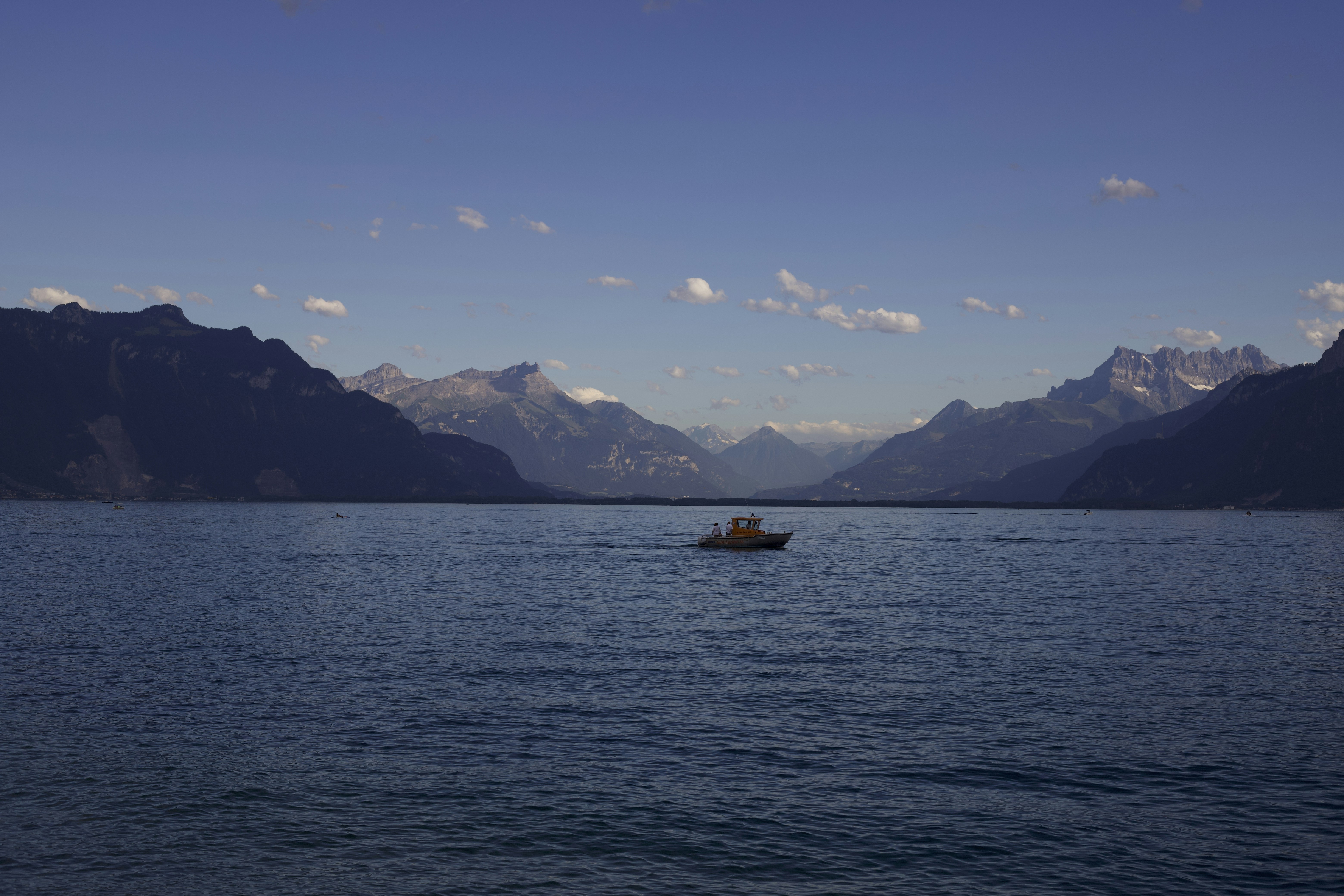 Photo by william_ducret